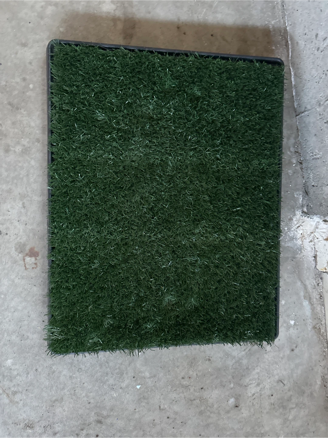 Dog Grass Potty Training Pad - photo 2