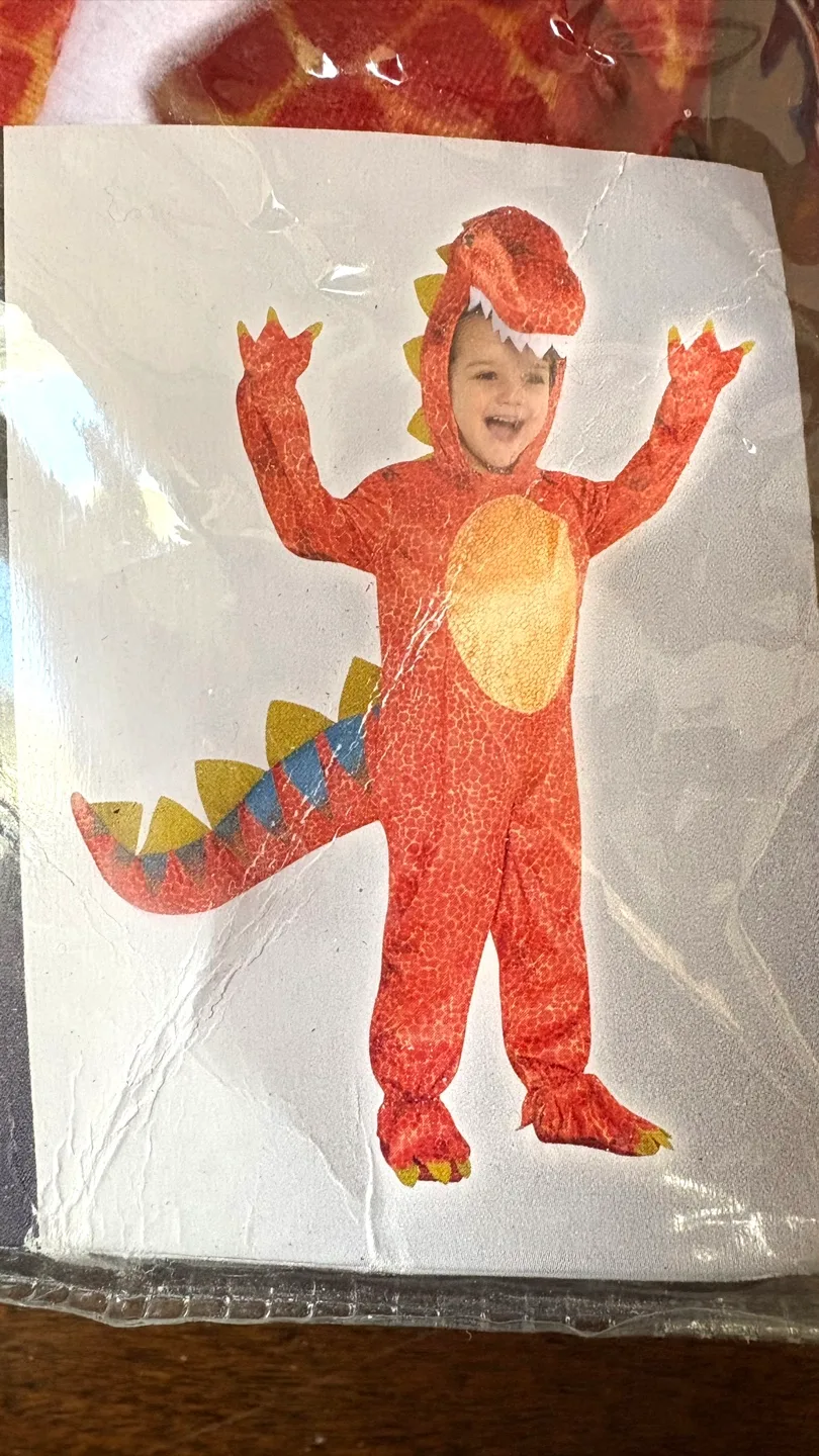 Dinomite Dinosaur 🦕 Costume - Size Small image indicator(2)