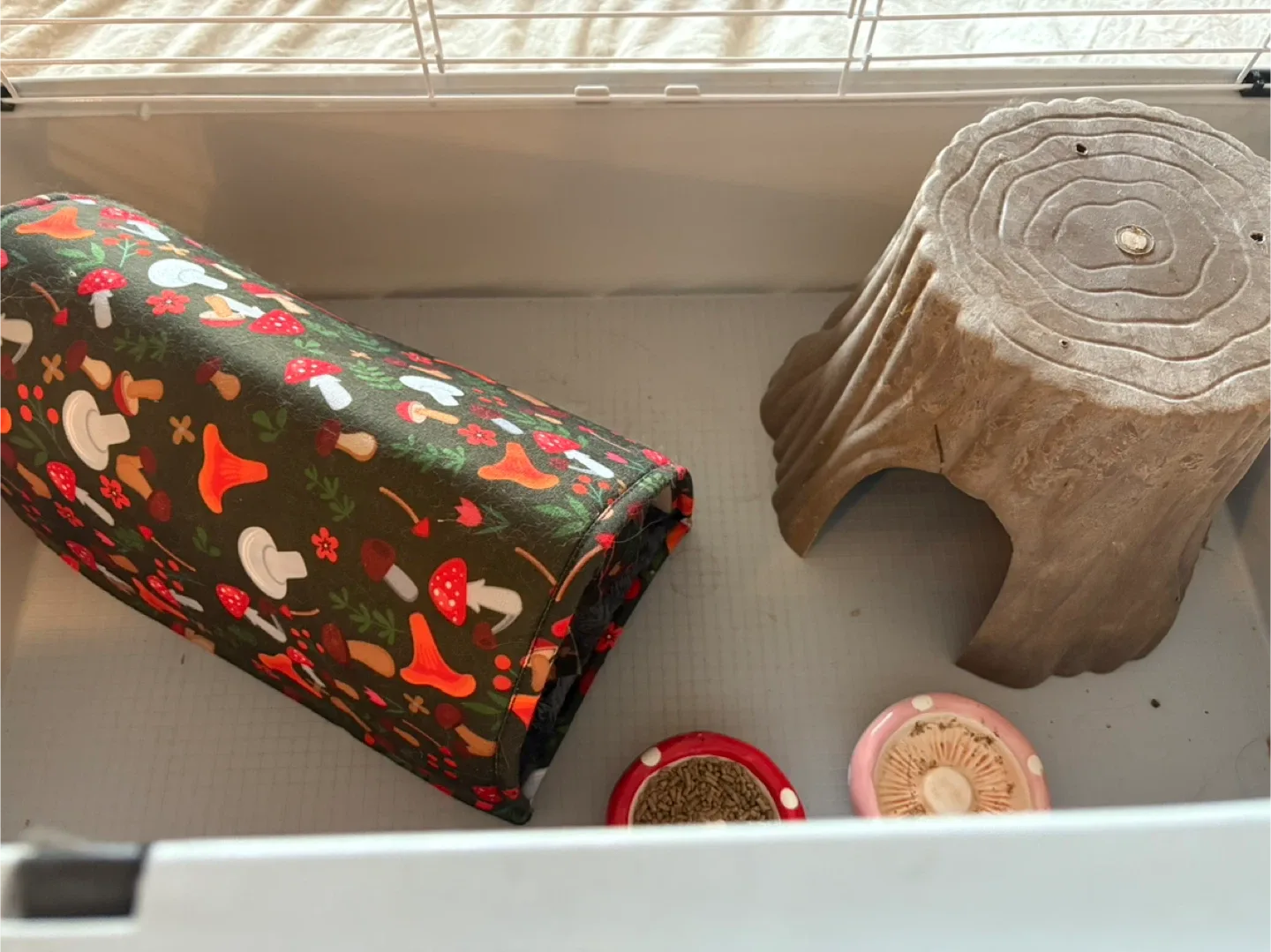 Hedgehog Cage with Accessories image indicator(3)