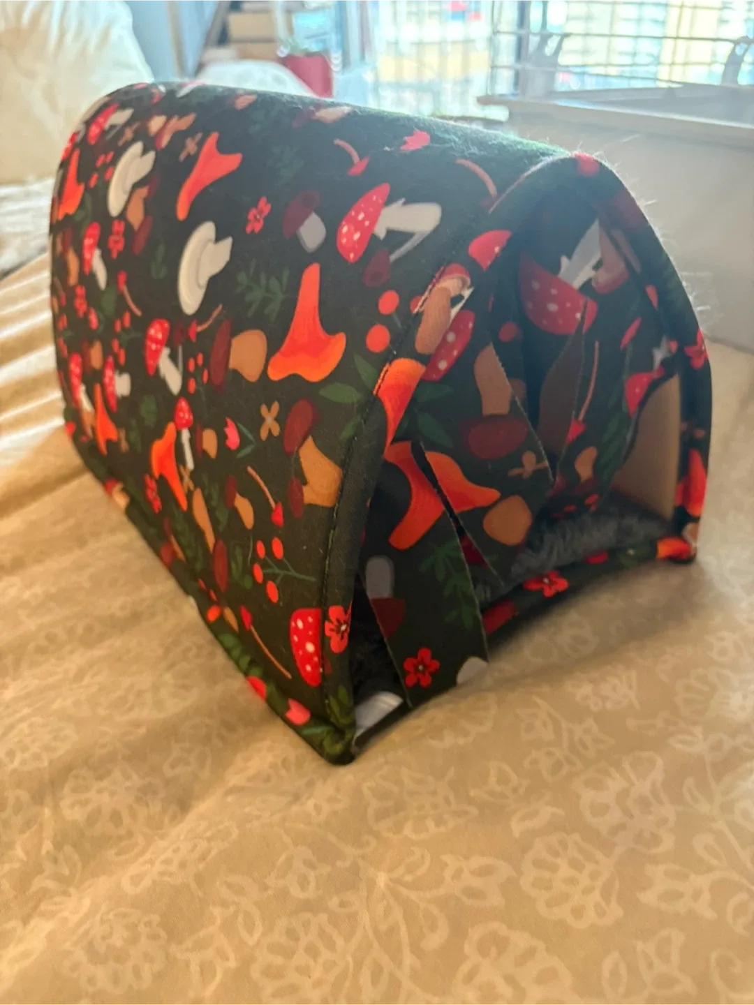 Hedgehog Cage with Accessories image indicator(4)