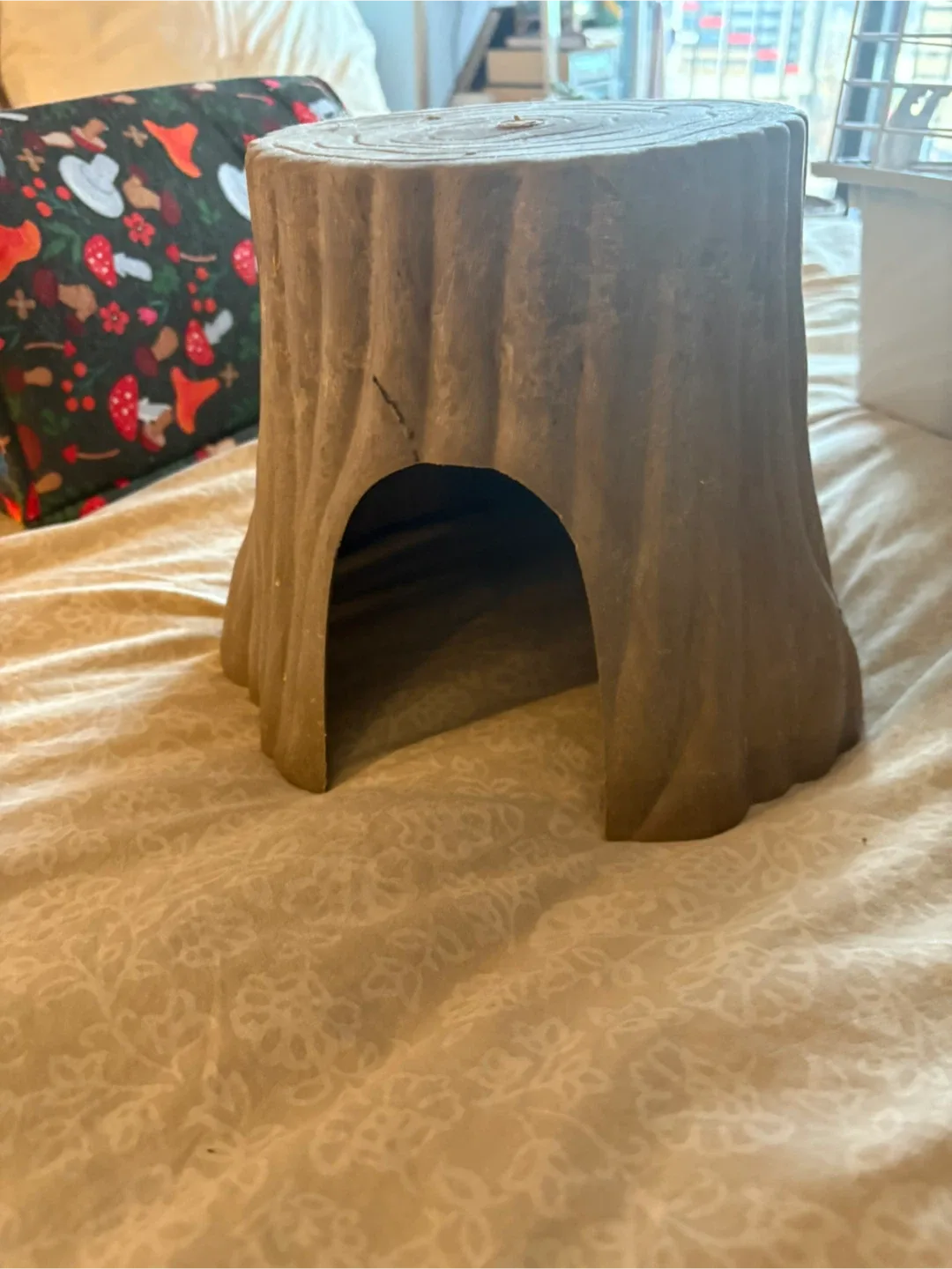 Hedgehog Cage with Accessories image indicator(6)