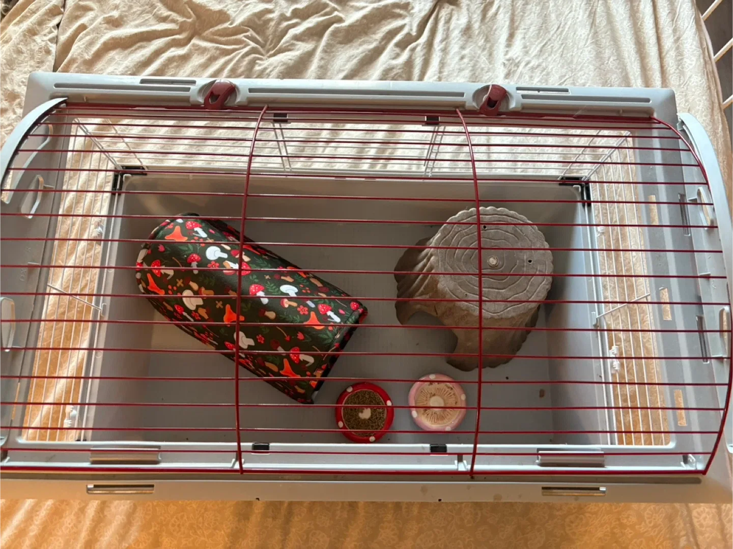 Hedgehog Cage with Accessories image indicator(2)