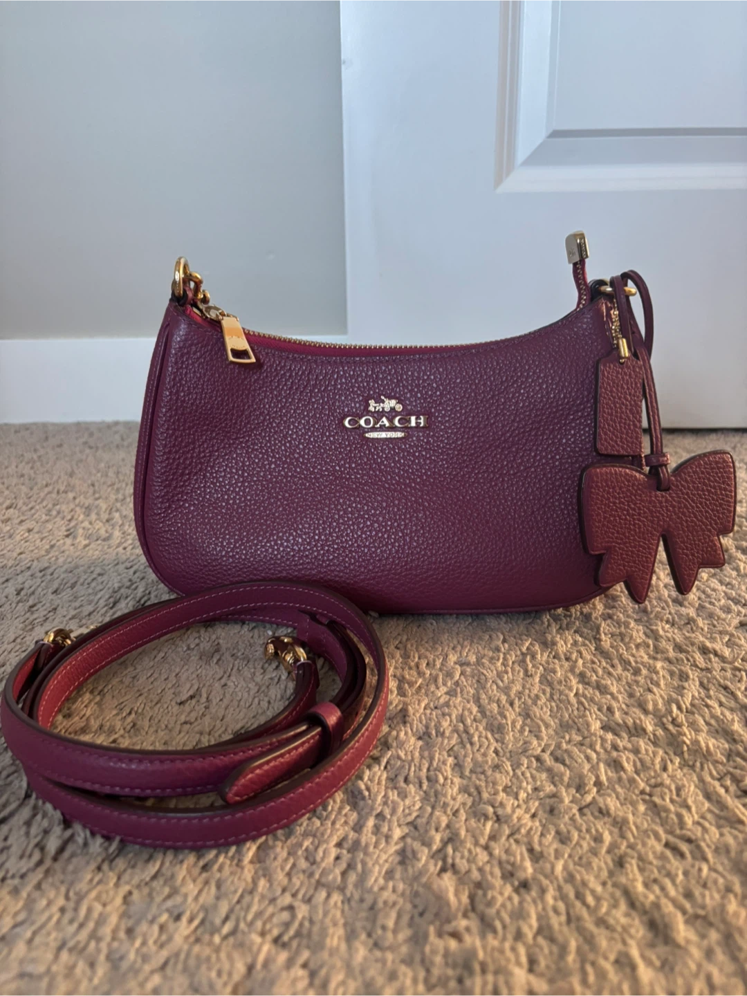 Coach Teri Leather Shoulder Bag