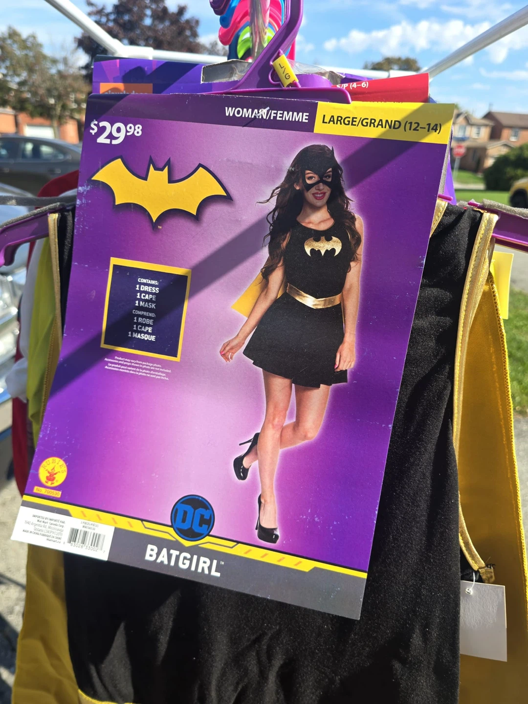 DC Batgirl Costume - Women's Large (12-14)