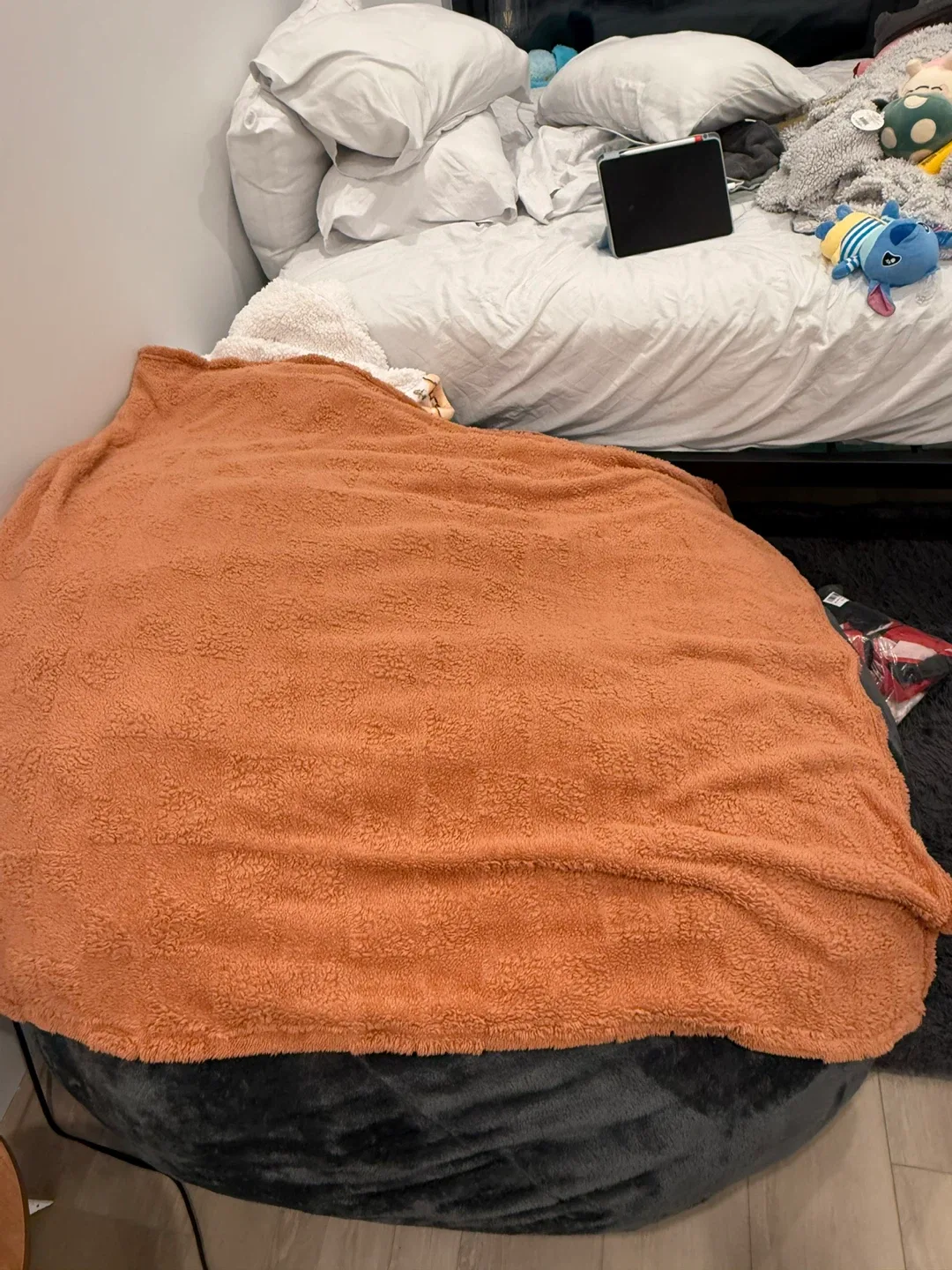 Pottery Barn Kids Anywhere Beanbag Chair image indicator(2)