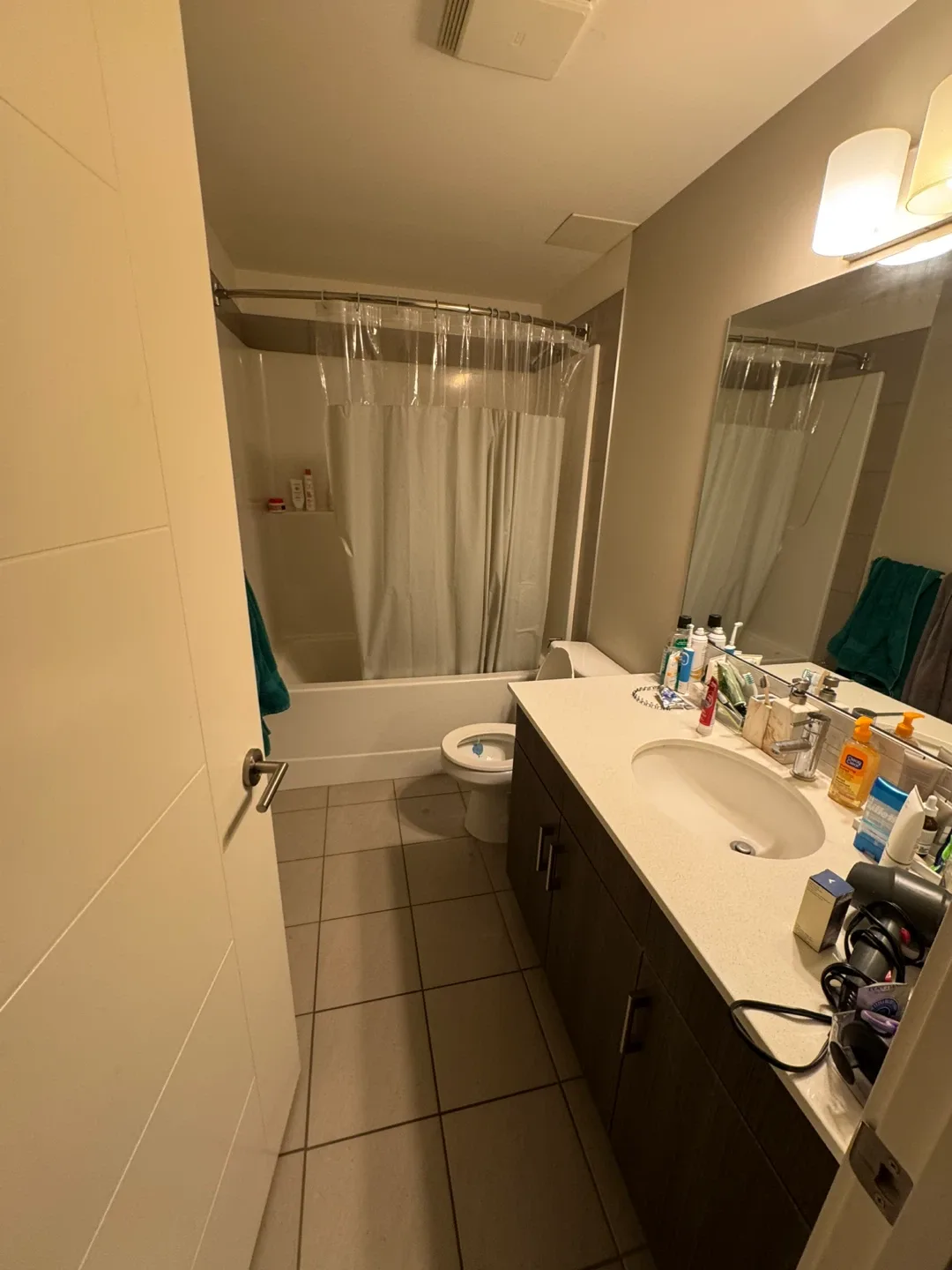 1 Bdr in 2Bdr 2bath apartment image indicator(4)