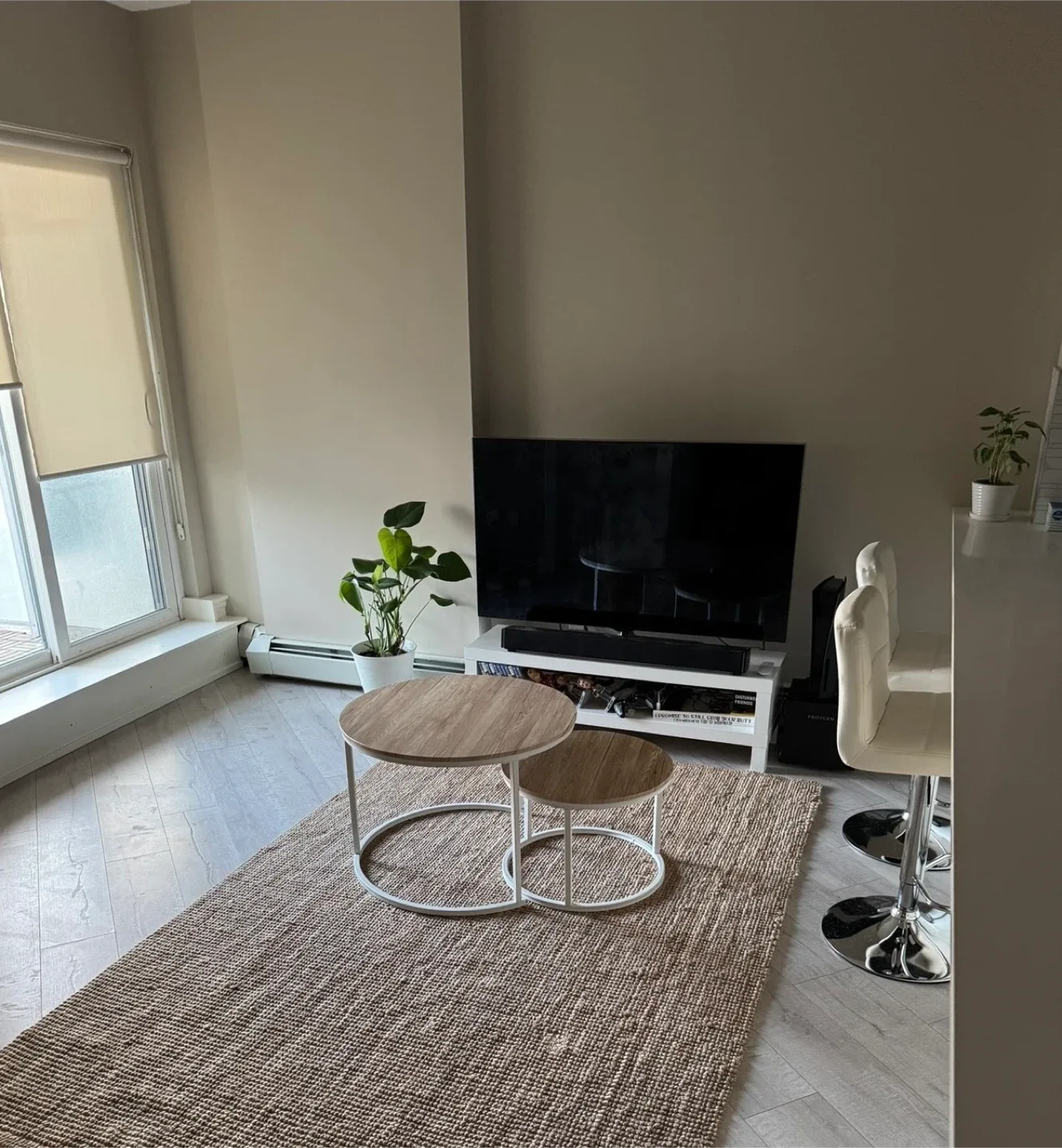 1 Bdr in 2Bdr 2bath apartment image indicator(5)