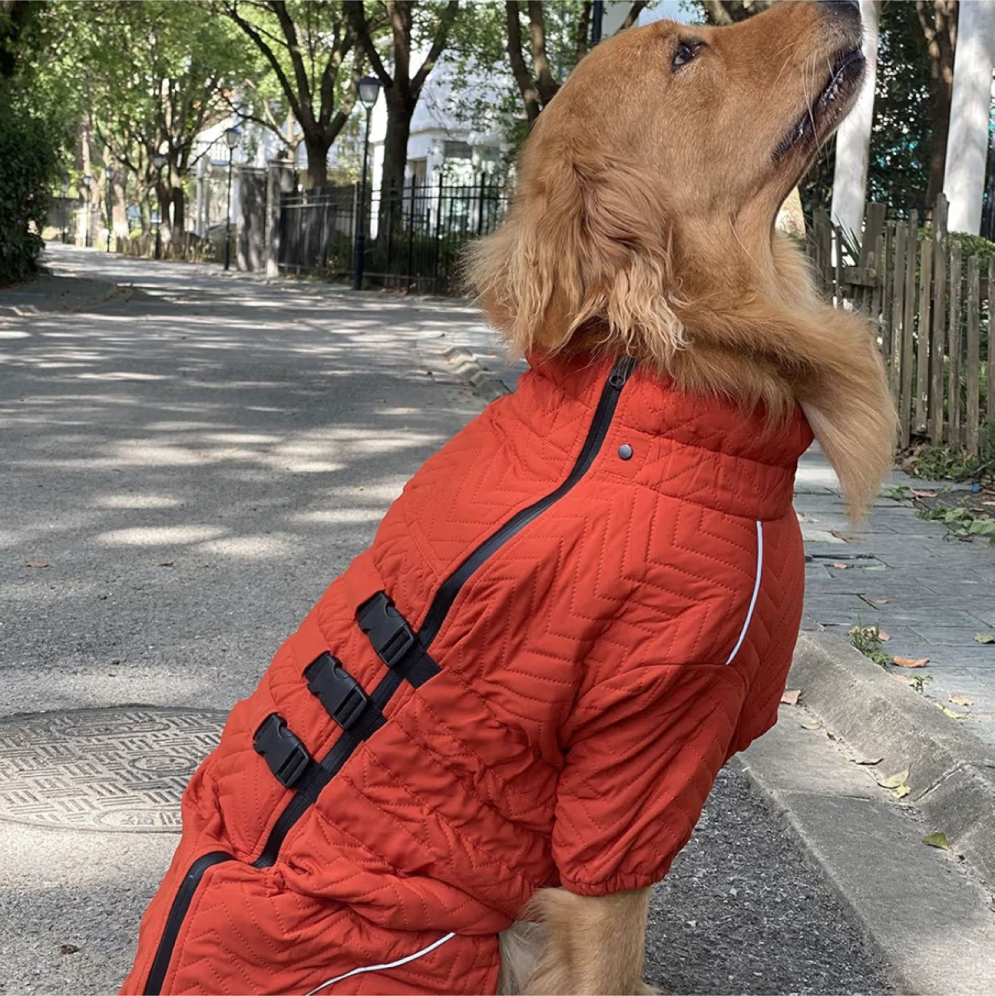 Brand New Warm Dog Coat - Orange (4XL)