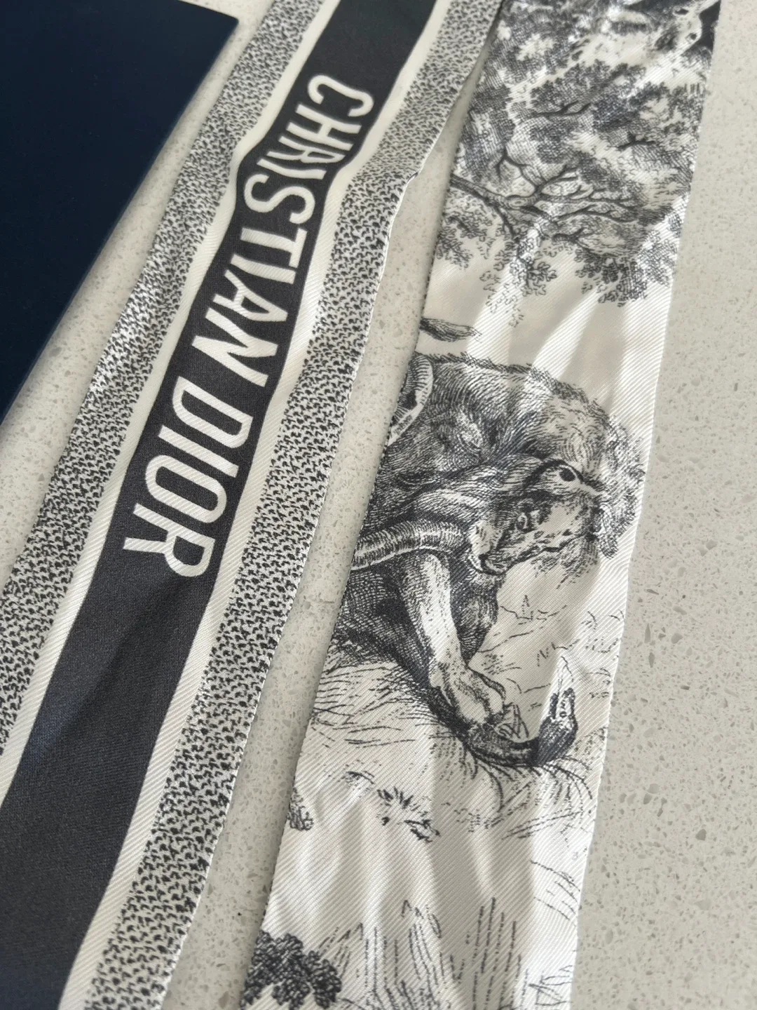 Christian Dior Silk Scarf - New image indicator(4)