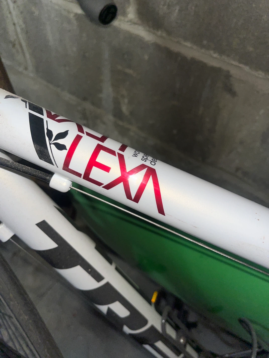 Trek Lexa Road Bike - photo 2