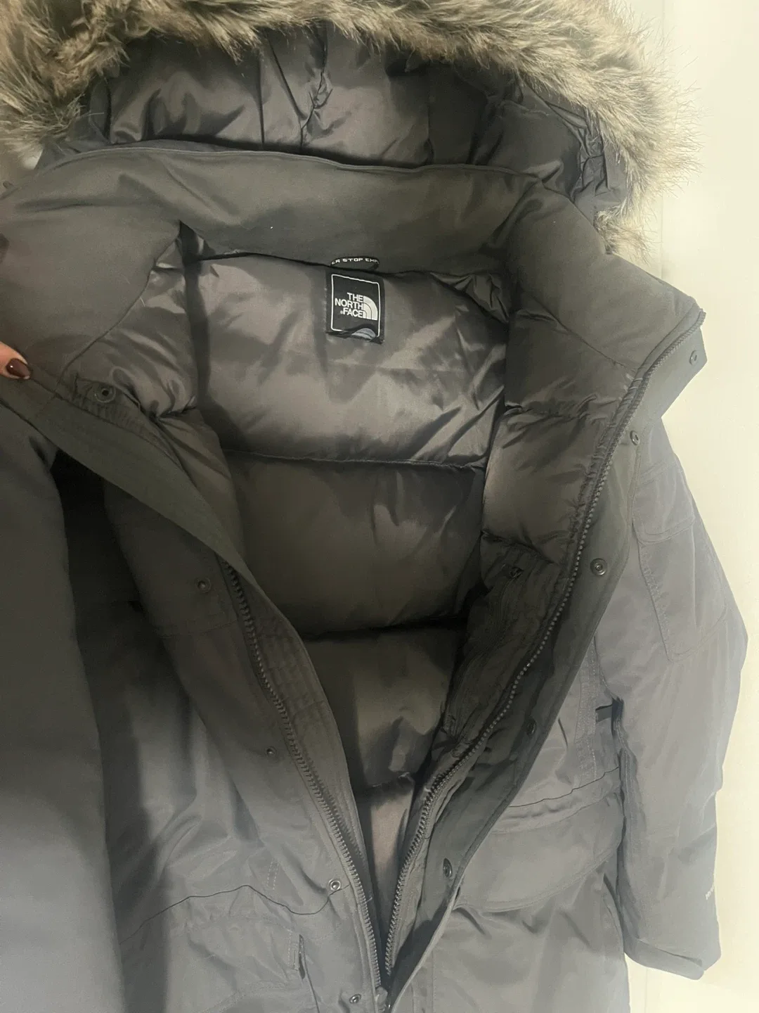 Men’s The North Face XL Parka jacket image indicator(2)