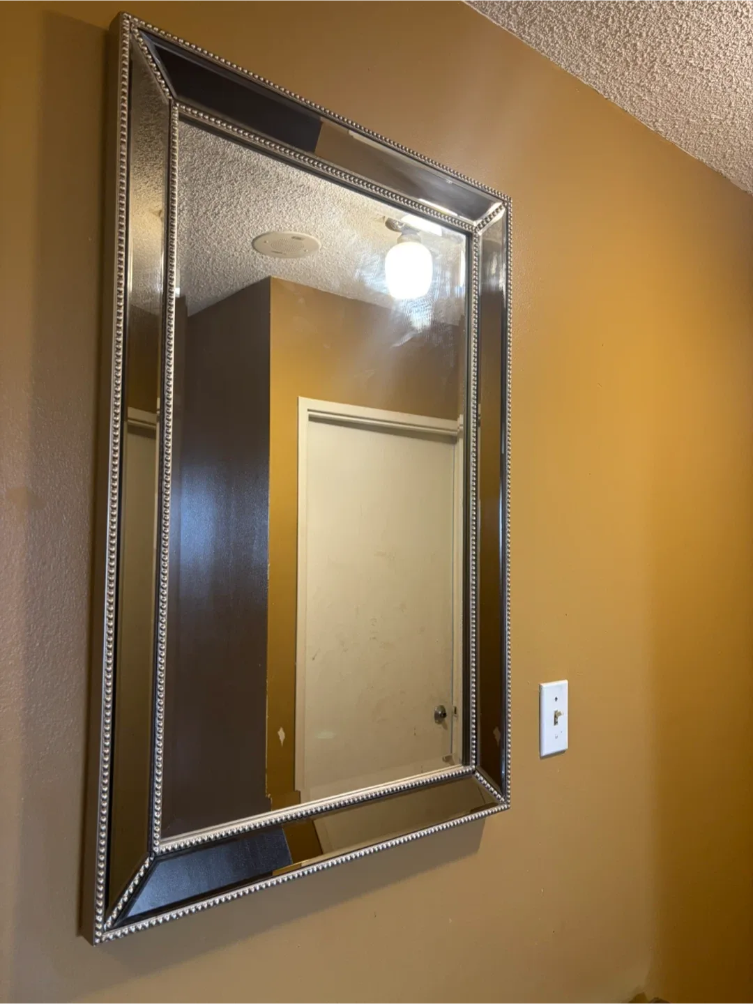 framed big mirror image indicator(2)