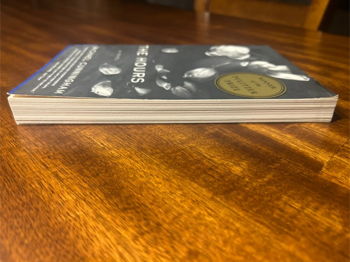 The Hours by Michael Cunningham image indicator(4)