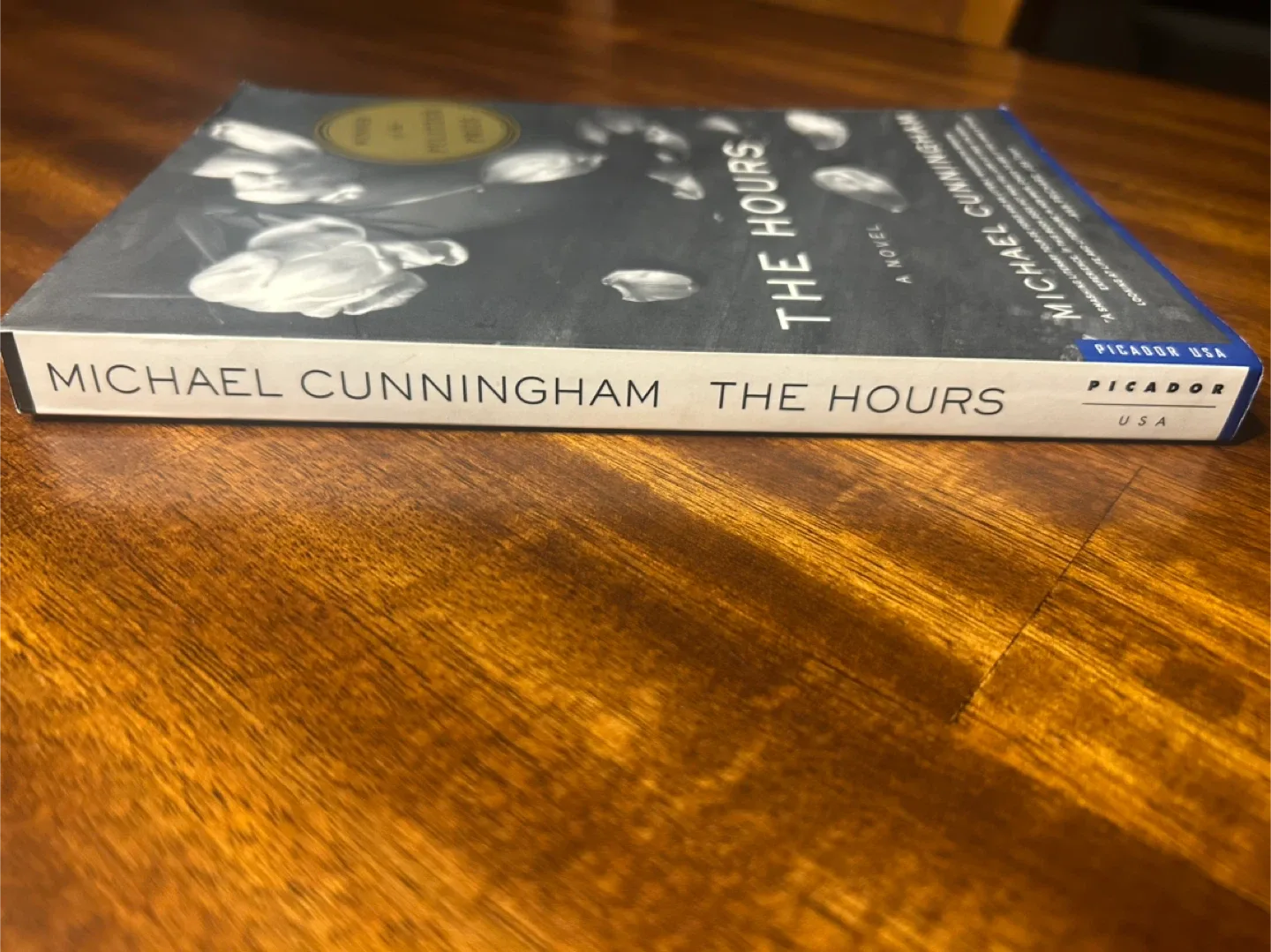 The Hours by Michael Cunningham image indicator(3)