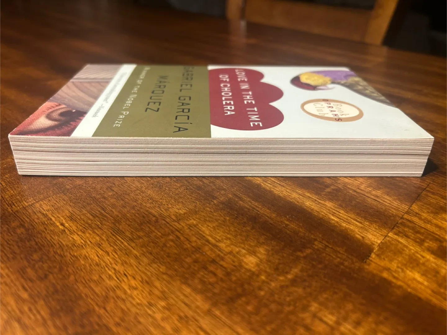 Love in the Time of Cholera by Gabriel García Márquez image indicator(4)