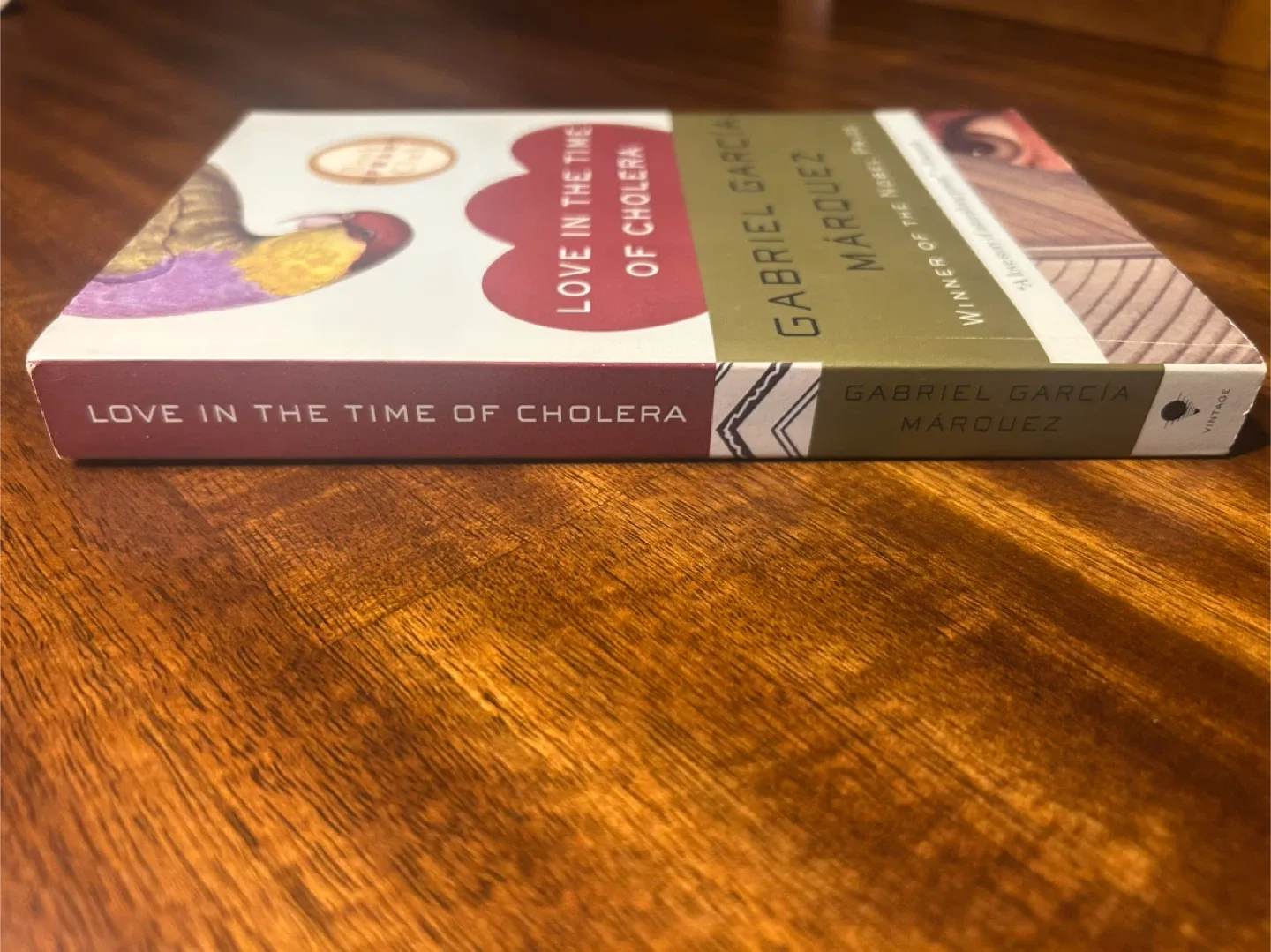 Love in the Time of Cholera by Gabriel García Márquez image indicator(3)