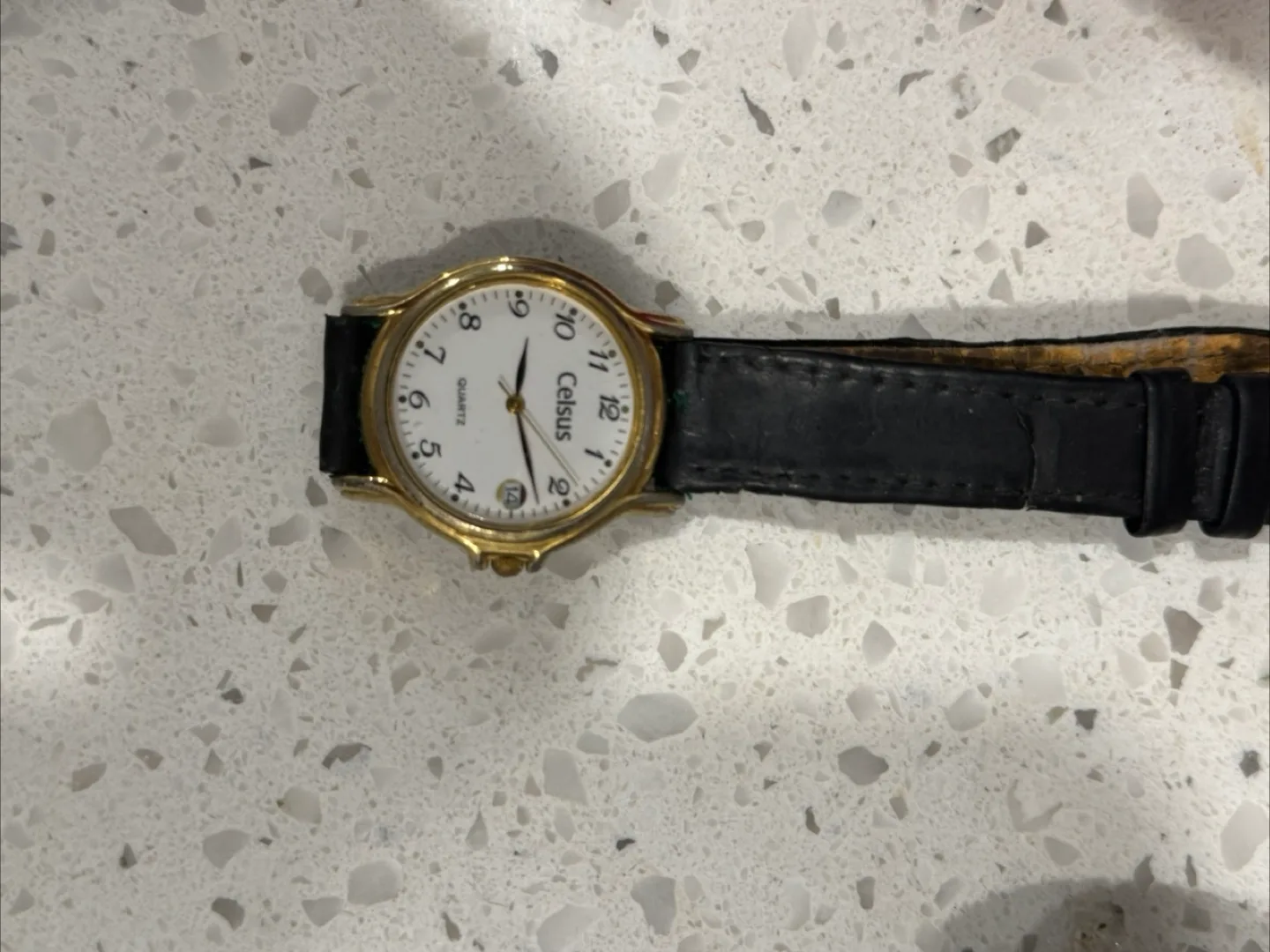 Celsus Quartz Watch with Leather Band thumbnail