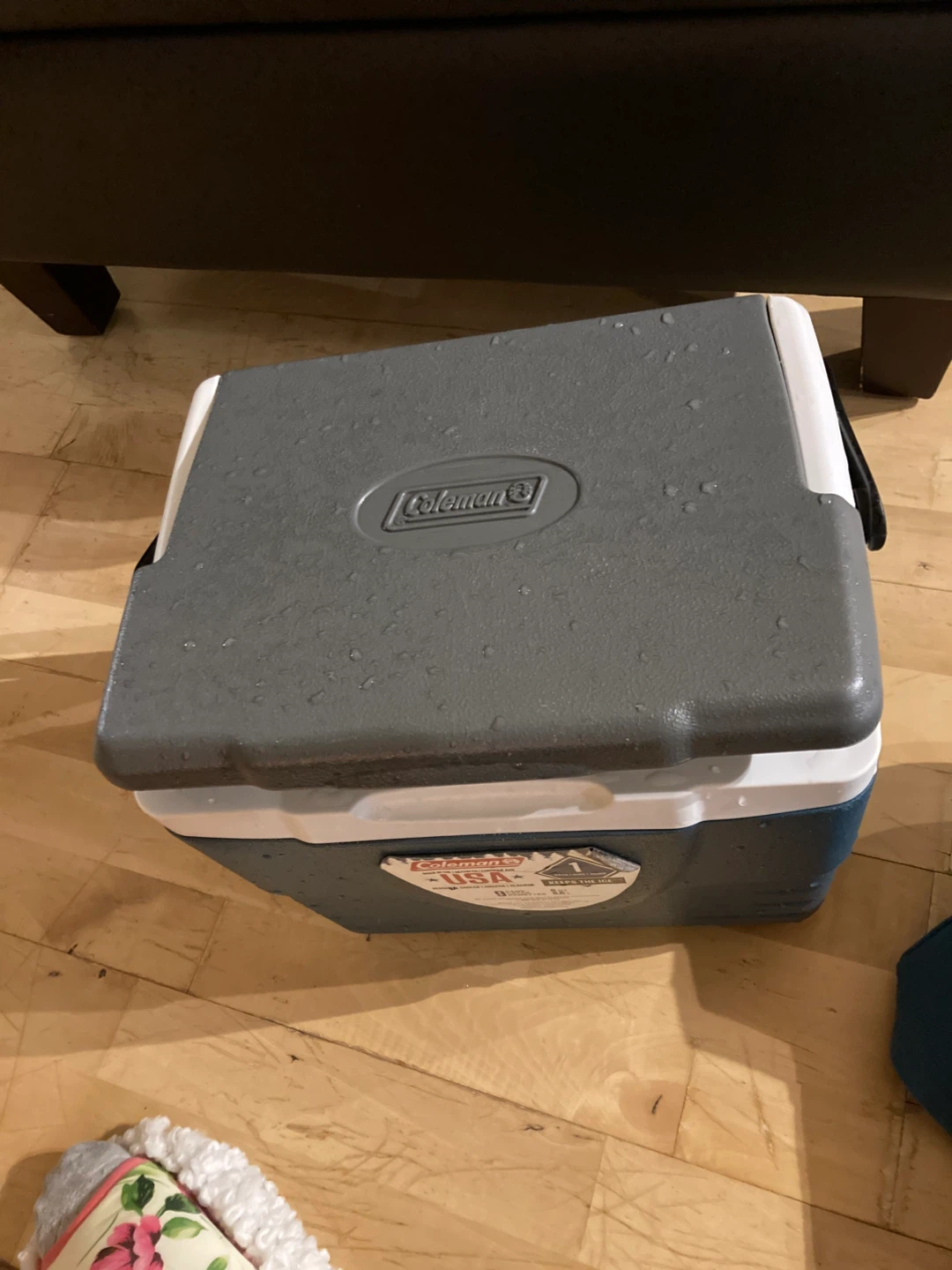 Coleman 9-Can Personal Cooler - Keeps the Ice! - photo 4