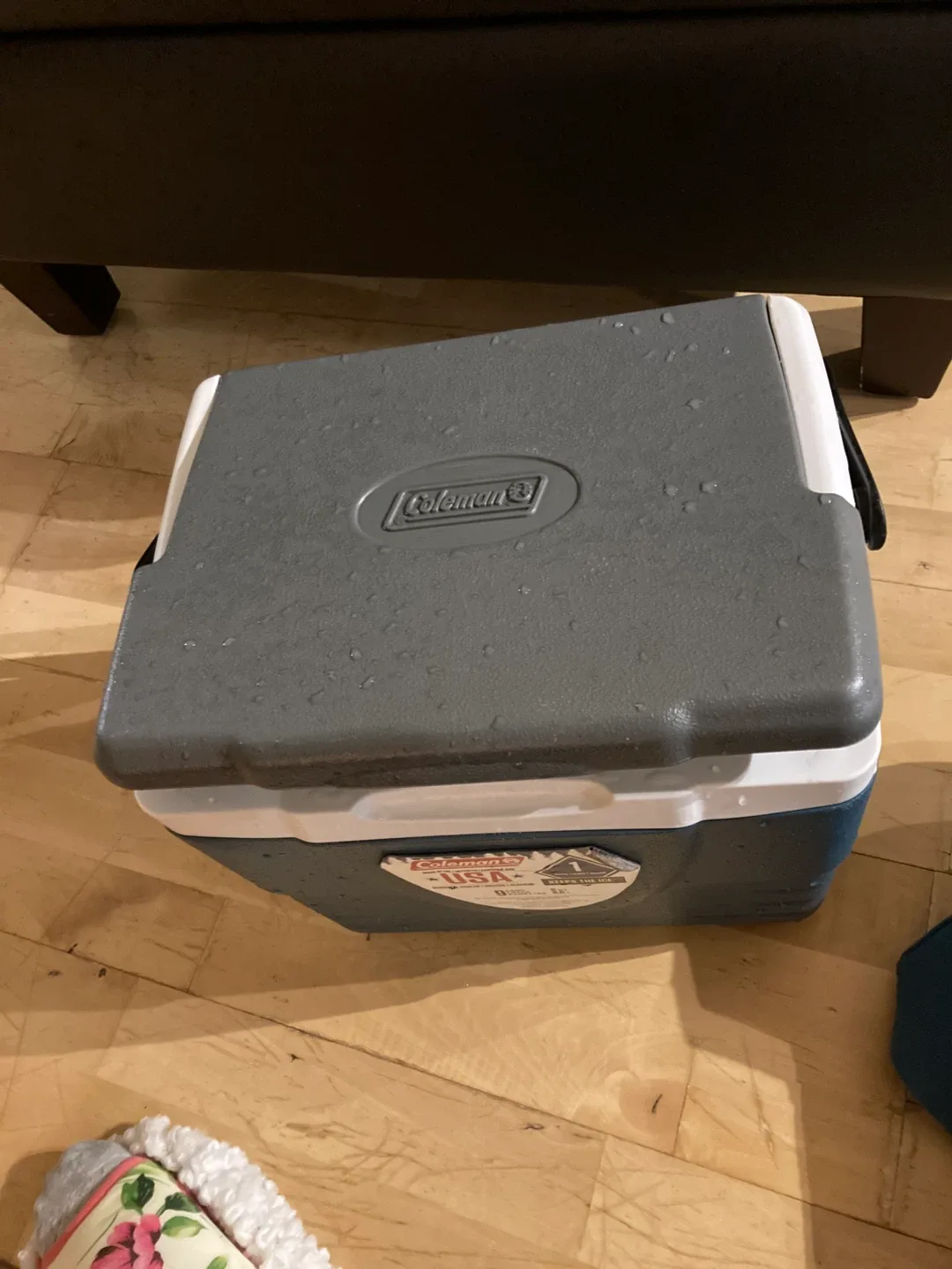 Coleman 9-Can Personal Cooler - Keeps the Ice! image indicator(4)