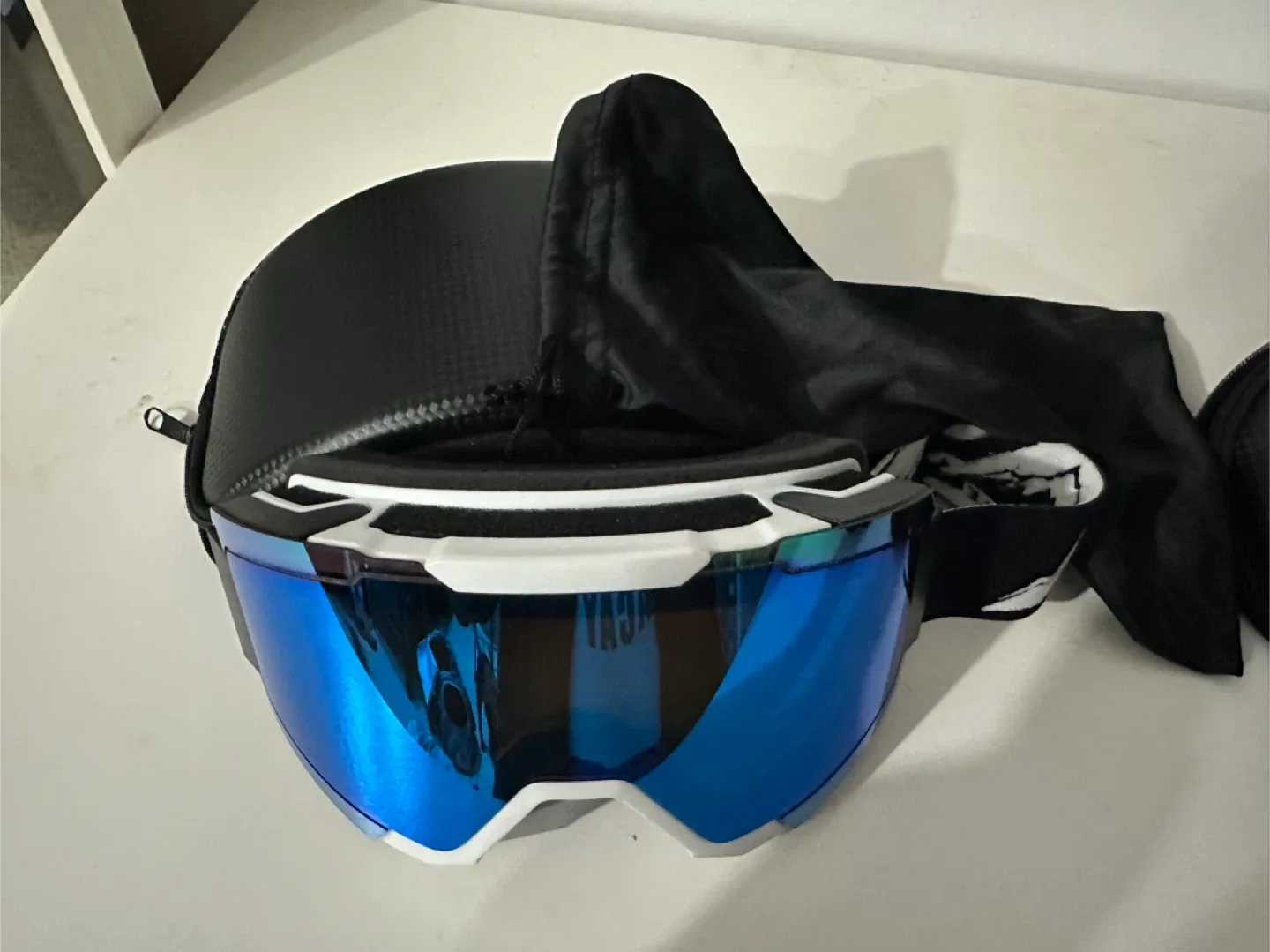 Ski/Snowboard Goggles with Case