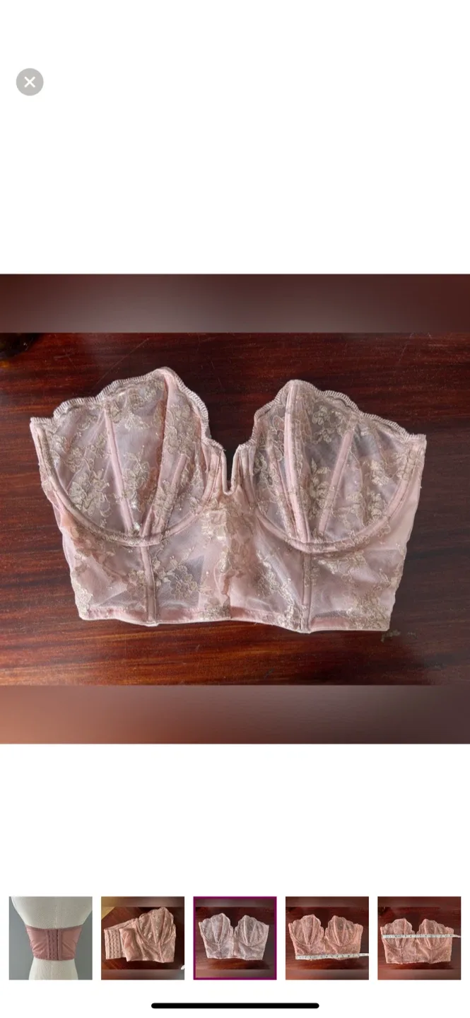 Lace Bustier Top image indicator(4)