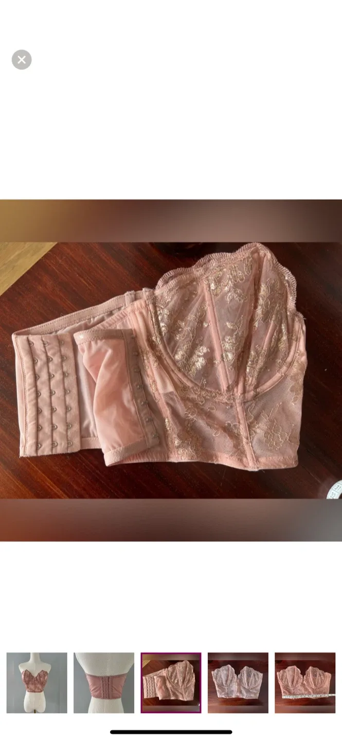 Lace Bustier Top image indicator(3)