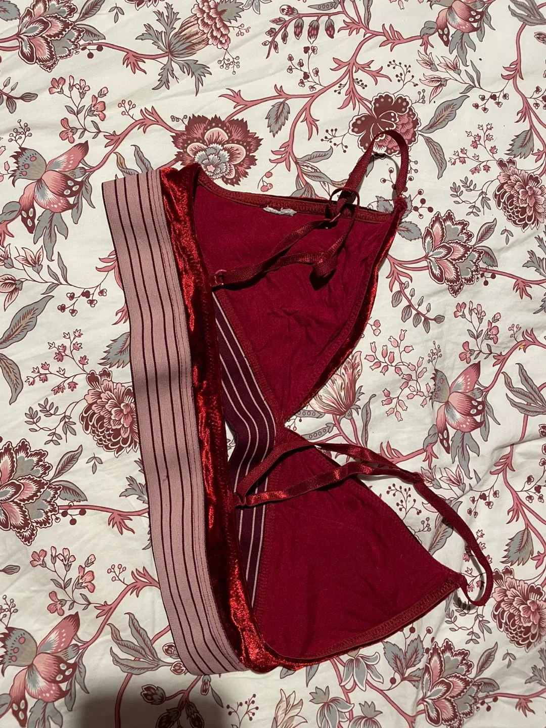 Red Velvet Bra image indicator(2)