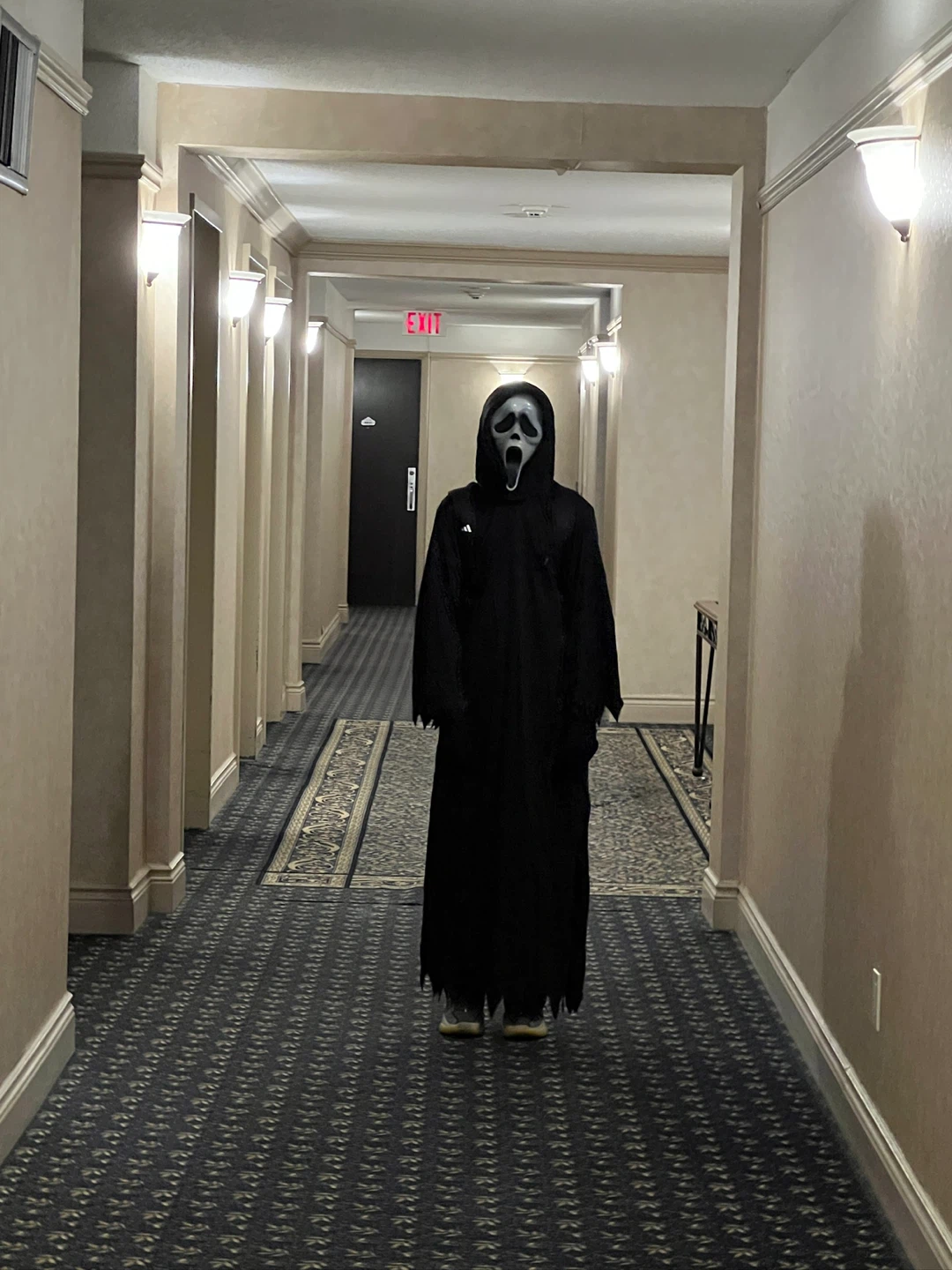 Halloween costume - photo 3