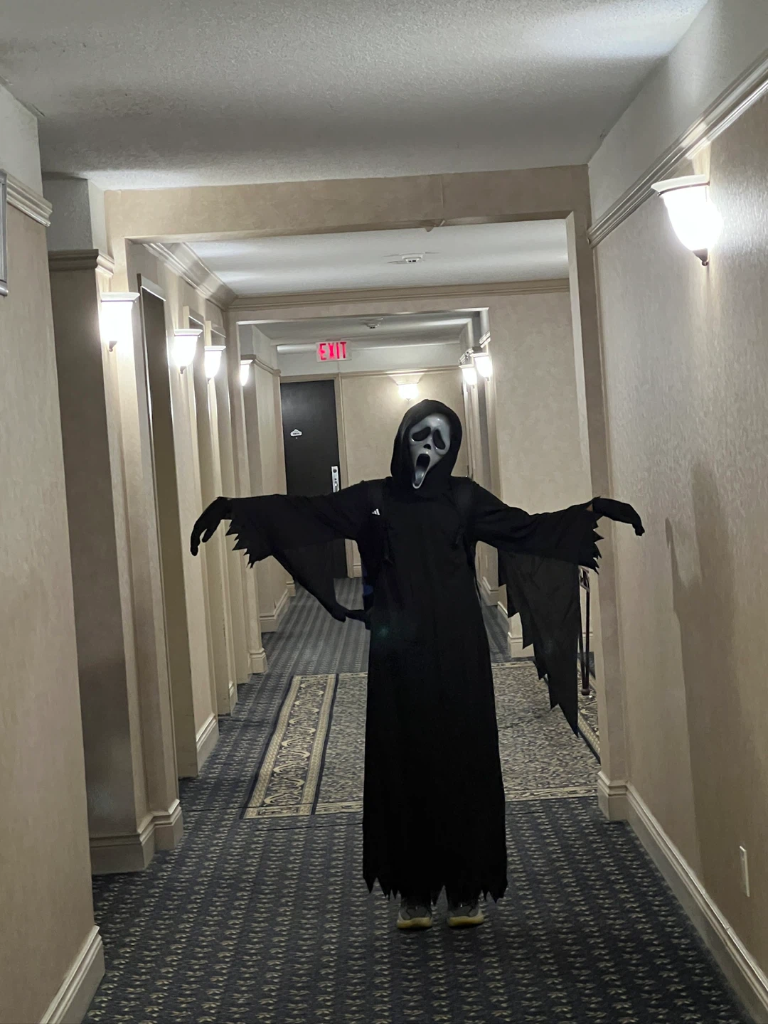 Halloween costume - photo 2
