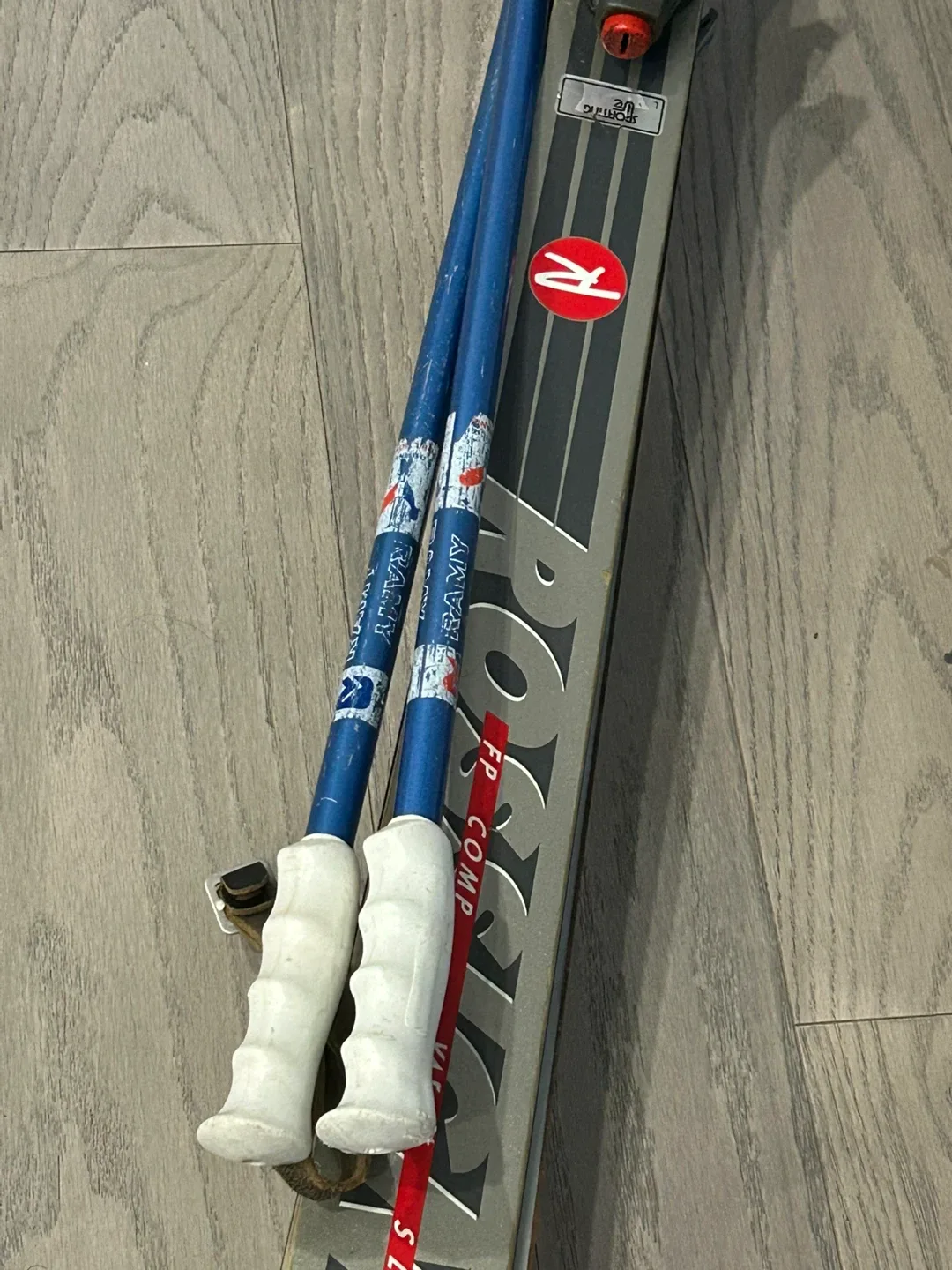 Skis (Skiing Gear) image indicator(9)