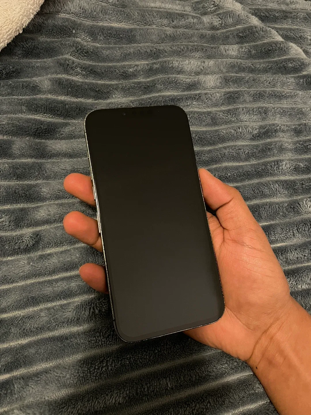 iPhone 13 Pro Max image indicator(3)