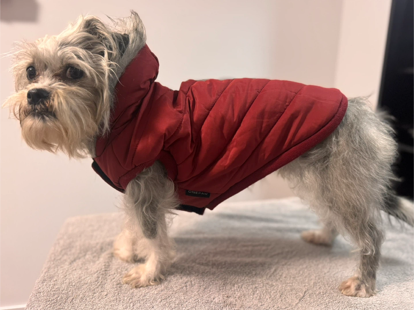 ONEPAW Red Dog Fit Jackets