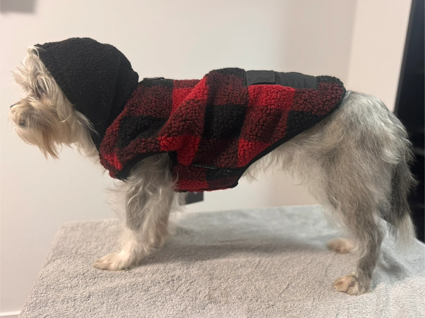 ONEFAW Dog Coat - Red & Black Plaid. - photo 2