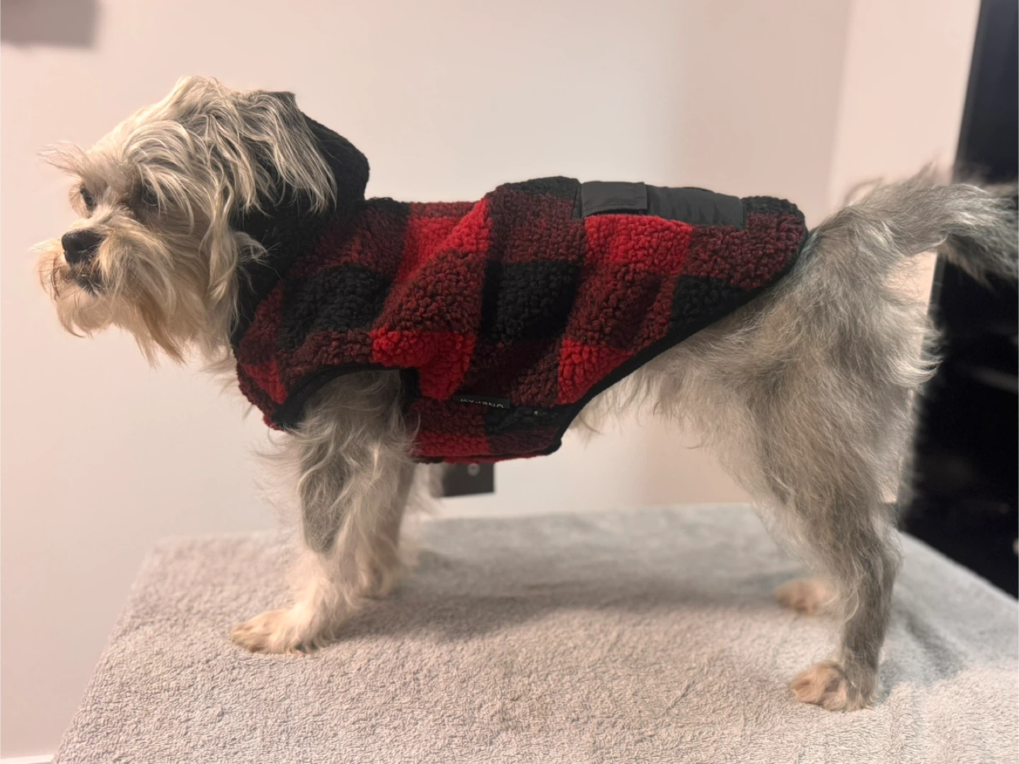 ONEFAW Dog Coat - Red & Black Plaid.