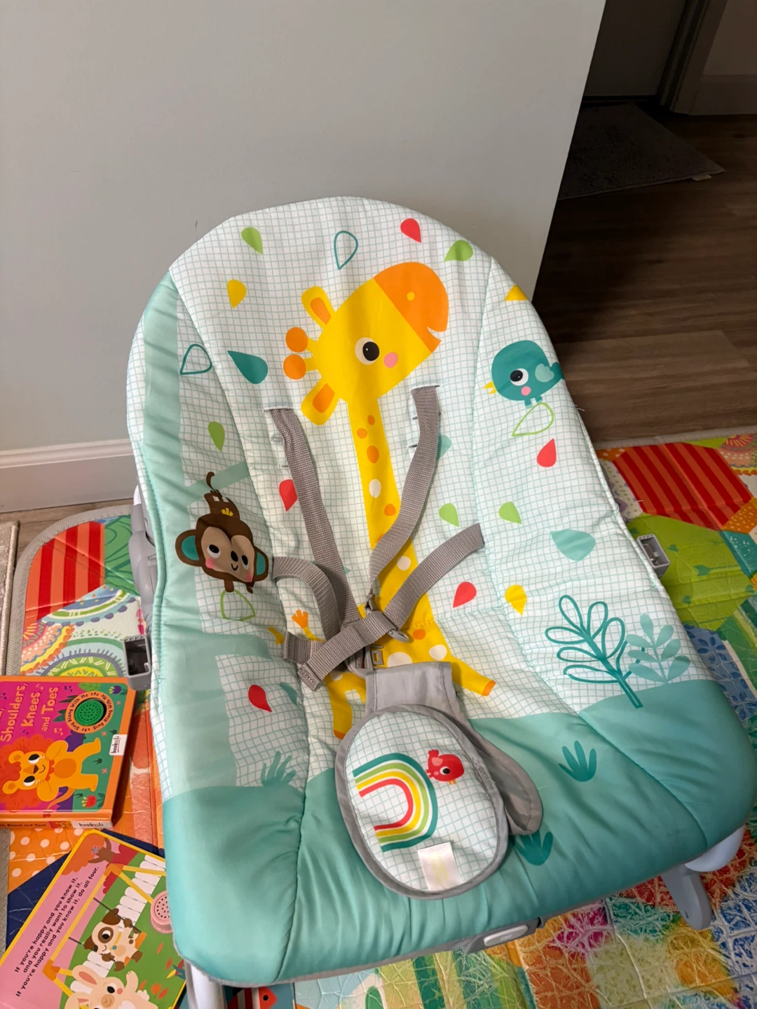 Bright Starts Baby Bouncer Seat - photo 3