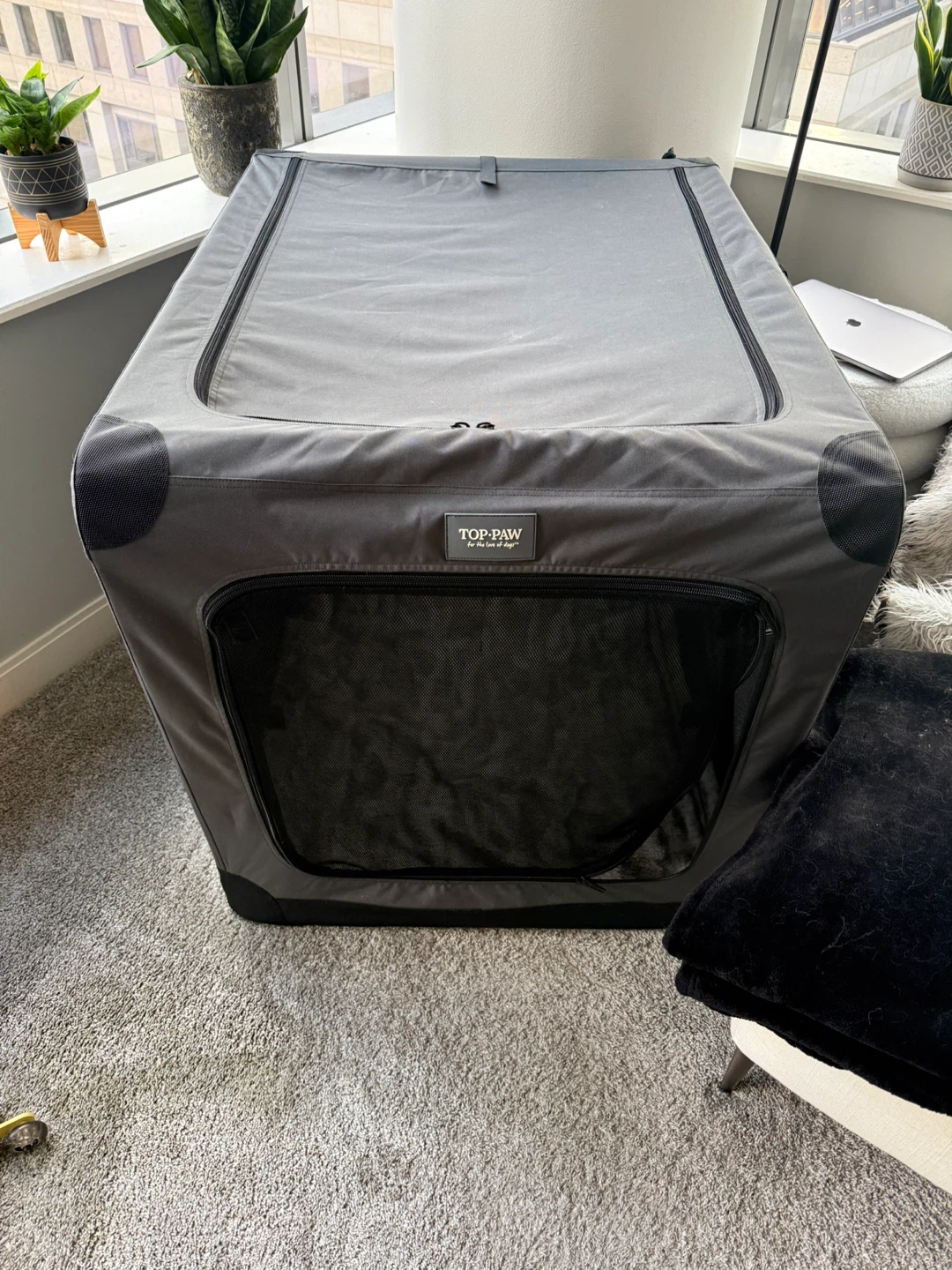Large Top Paw Gray Dog Crate