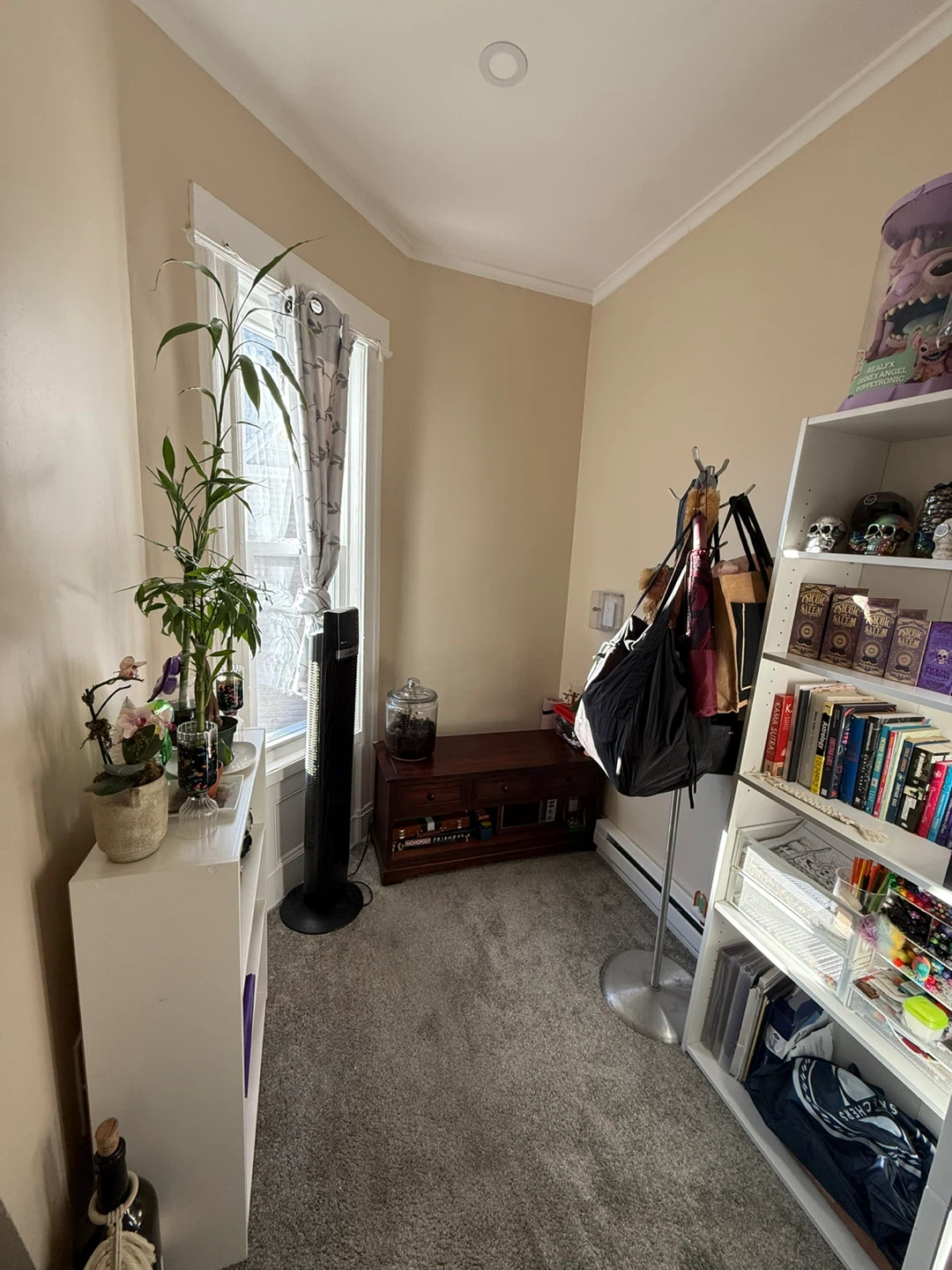 Private room for rent - photo 3