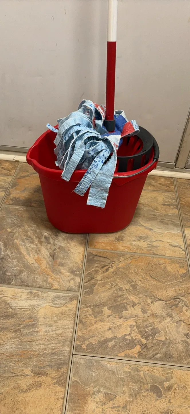 Red Vileda Wring Mop & Bucket