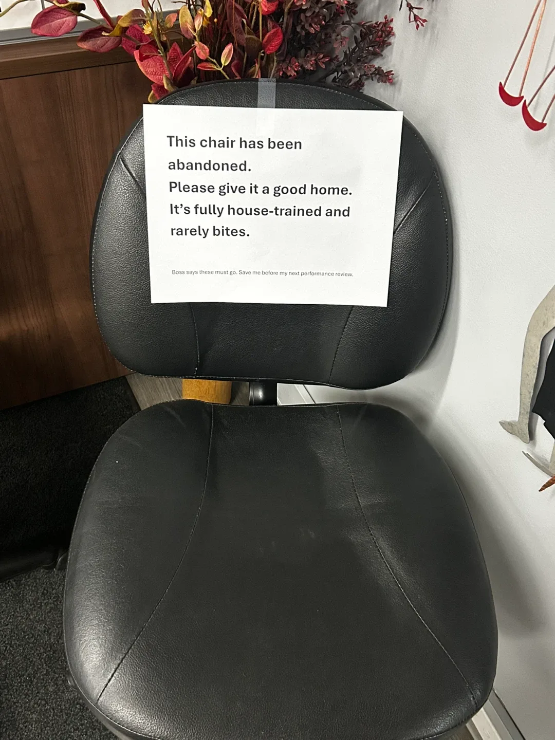 3 Office Chairs - Free image indicator(2)