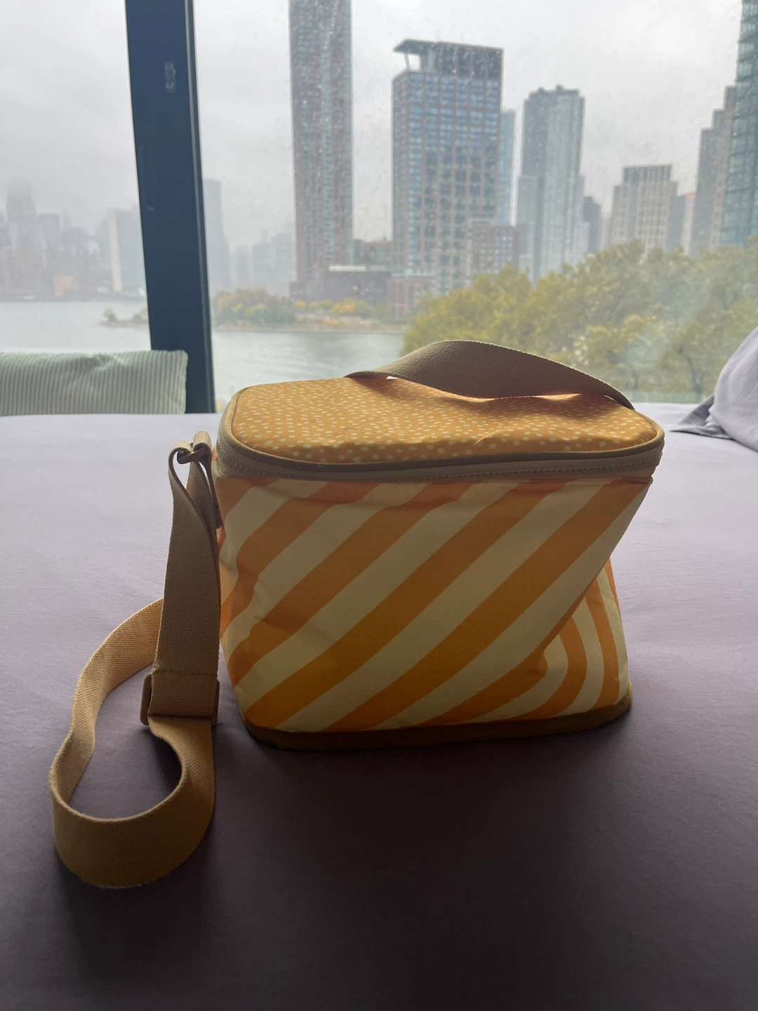 Striped Cooler Bag with Shoulder Strap