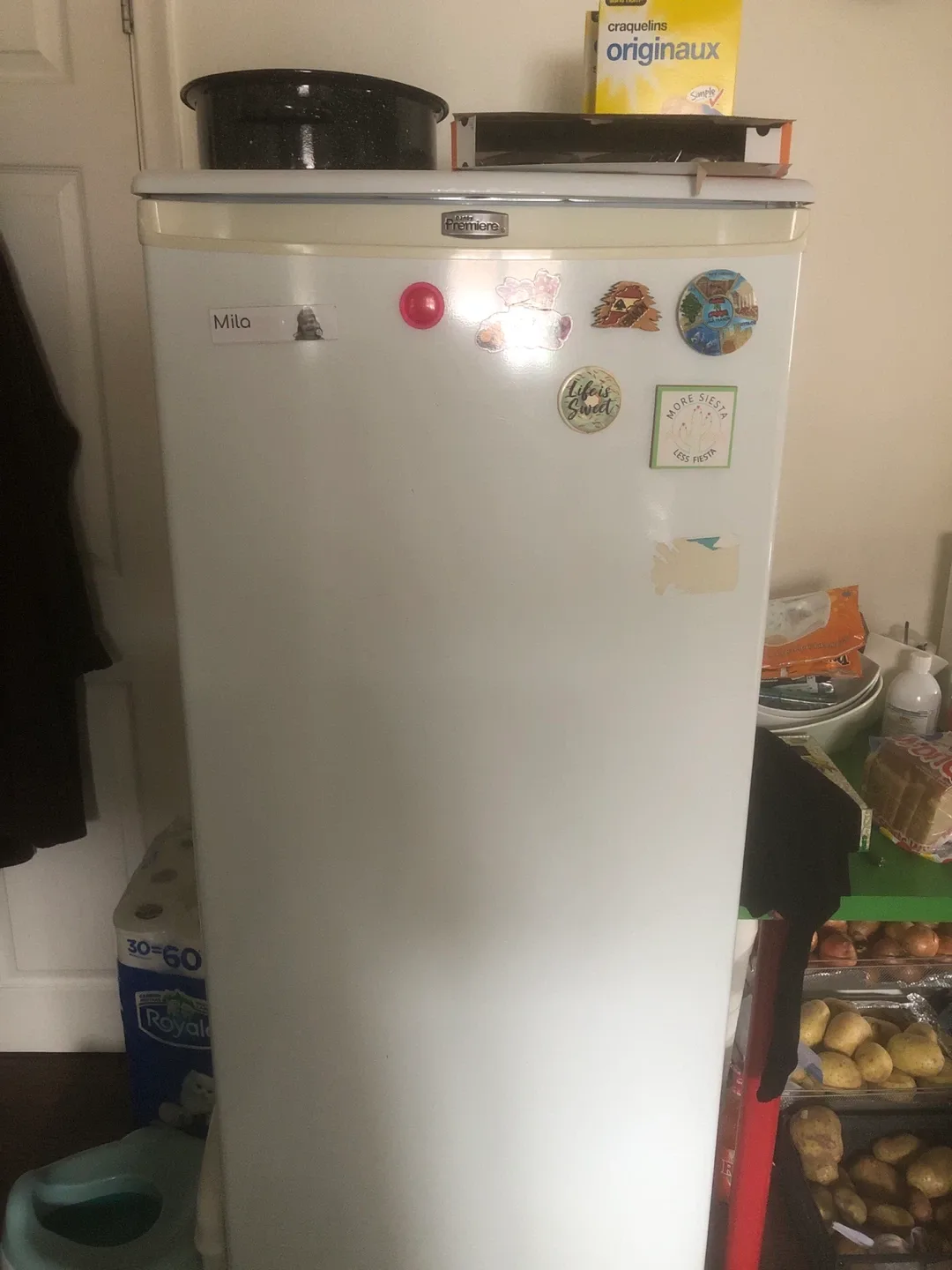Danny Premiere Freezer- Great Condition! image indicator(2)