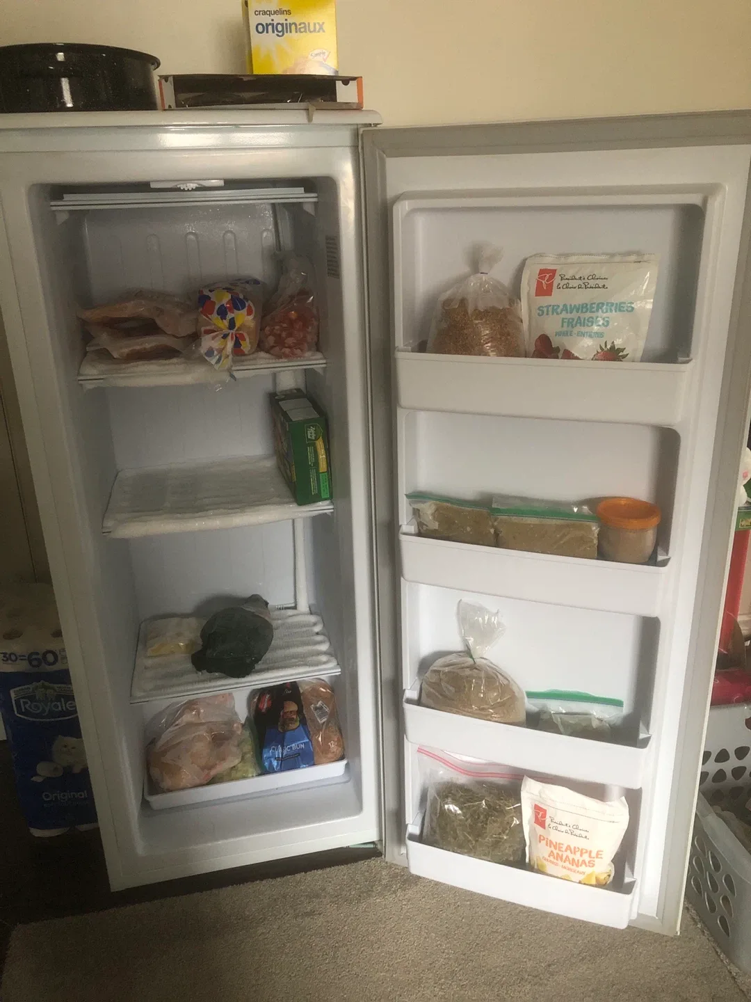 Danny Premiere Freezer- Great Condition! image indicator(6)