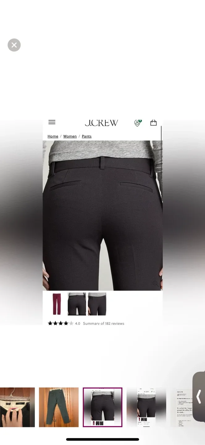 Jcrew Minnie style pants image indicator(5)