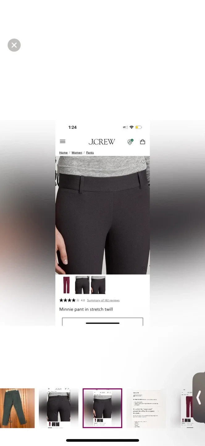 Jcrew Minnie style pants image indicator(6)