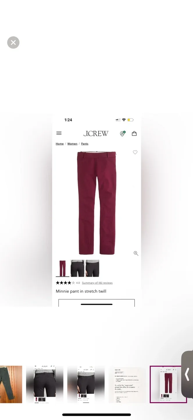 Jcrew Minnie style pants image indicator(8)