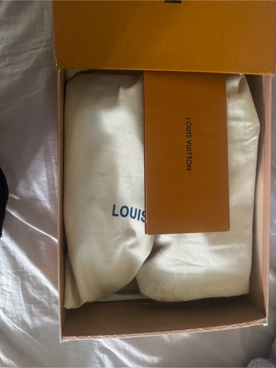 Louis Vuitton Black Leather Sneakers image indicator(5)