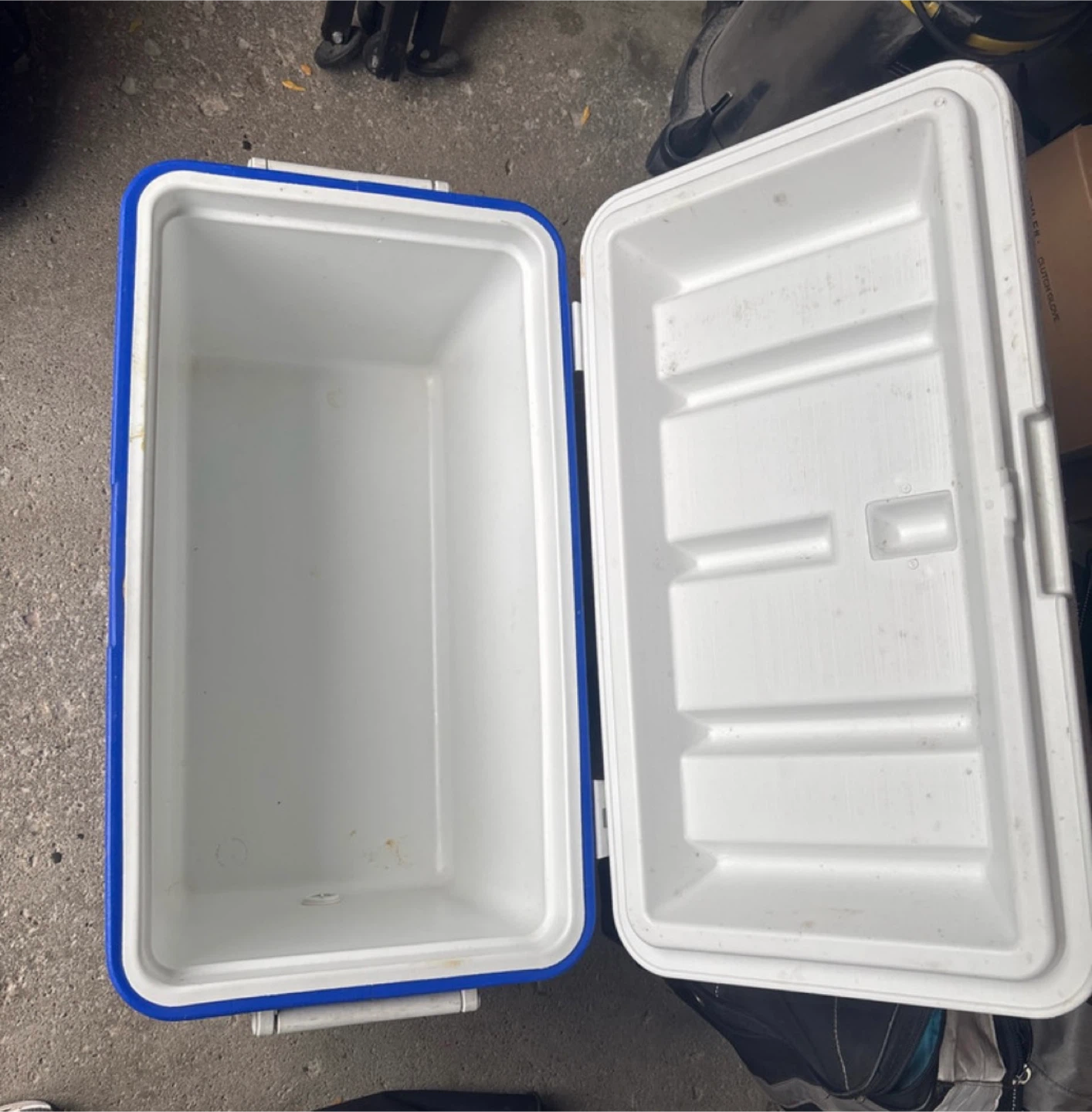 Coleman Cooler - Blue & White