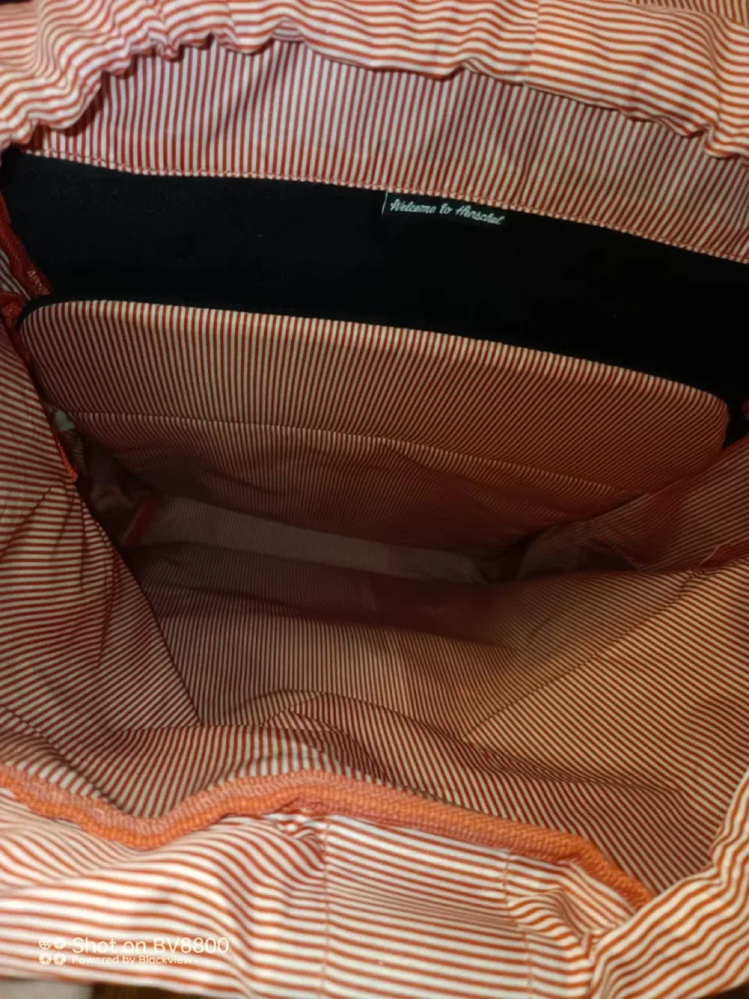 Herschel Blue Backpack image indicator(3)