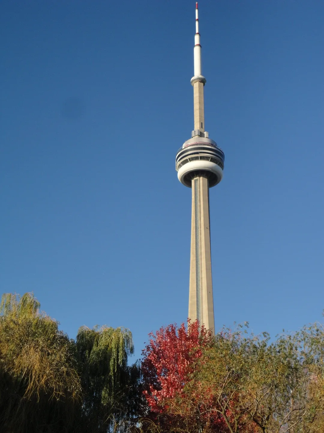 Sony Cyber-shot DSC-W350 Digital Camera image indicator(7)