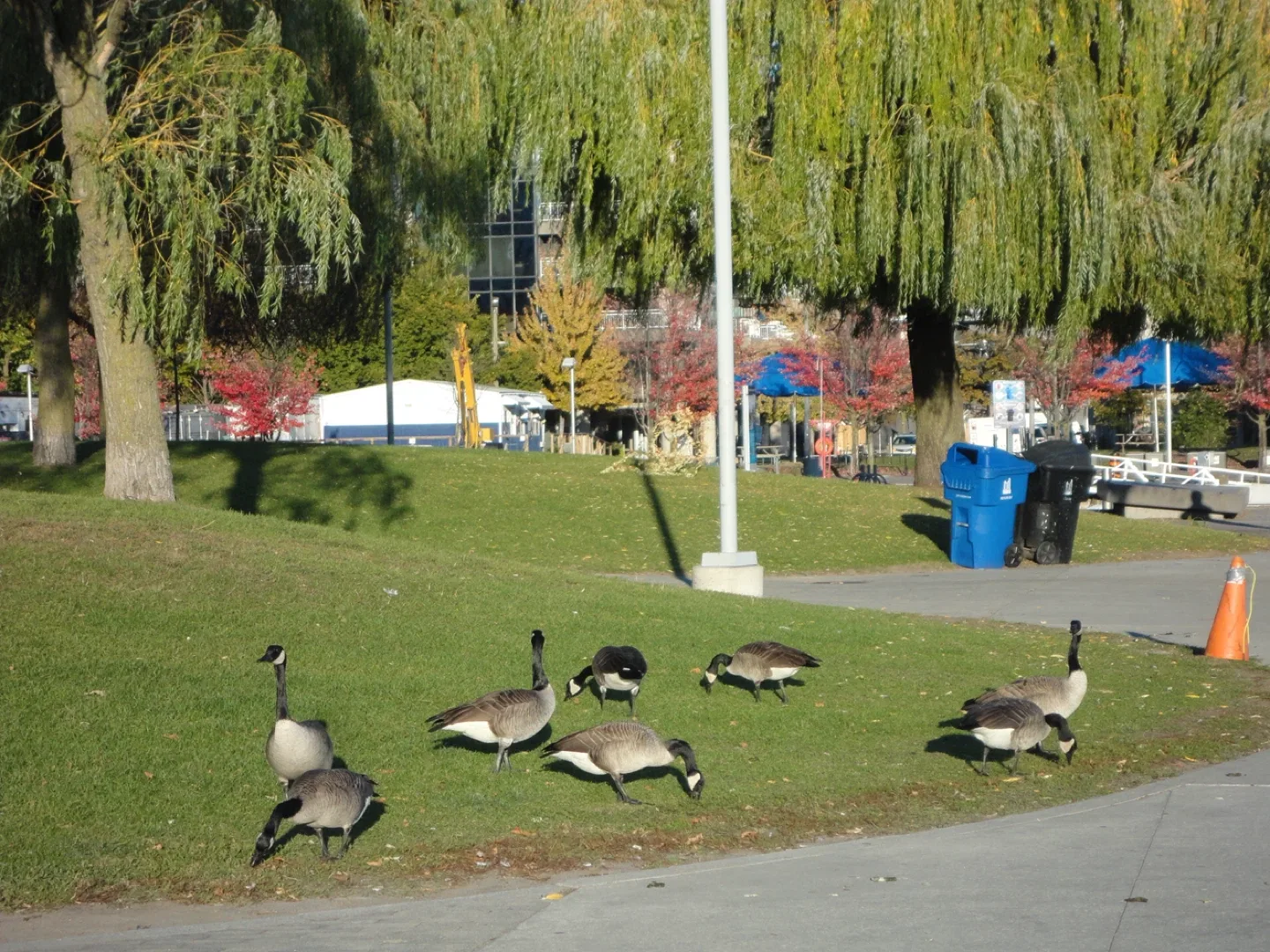 Sony Cyber-shot DSC-W350 Digital Camera image indicator(9)